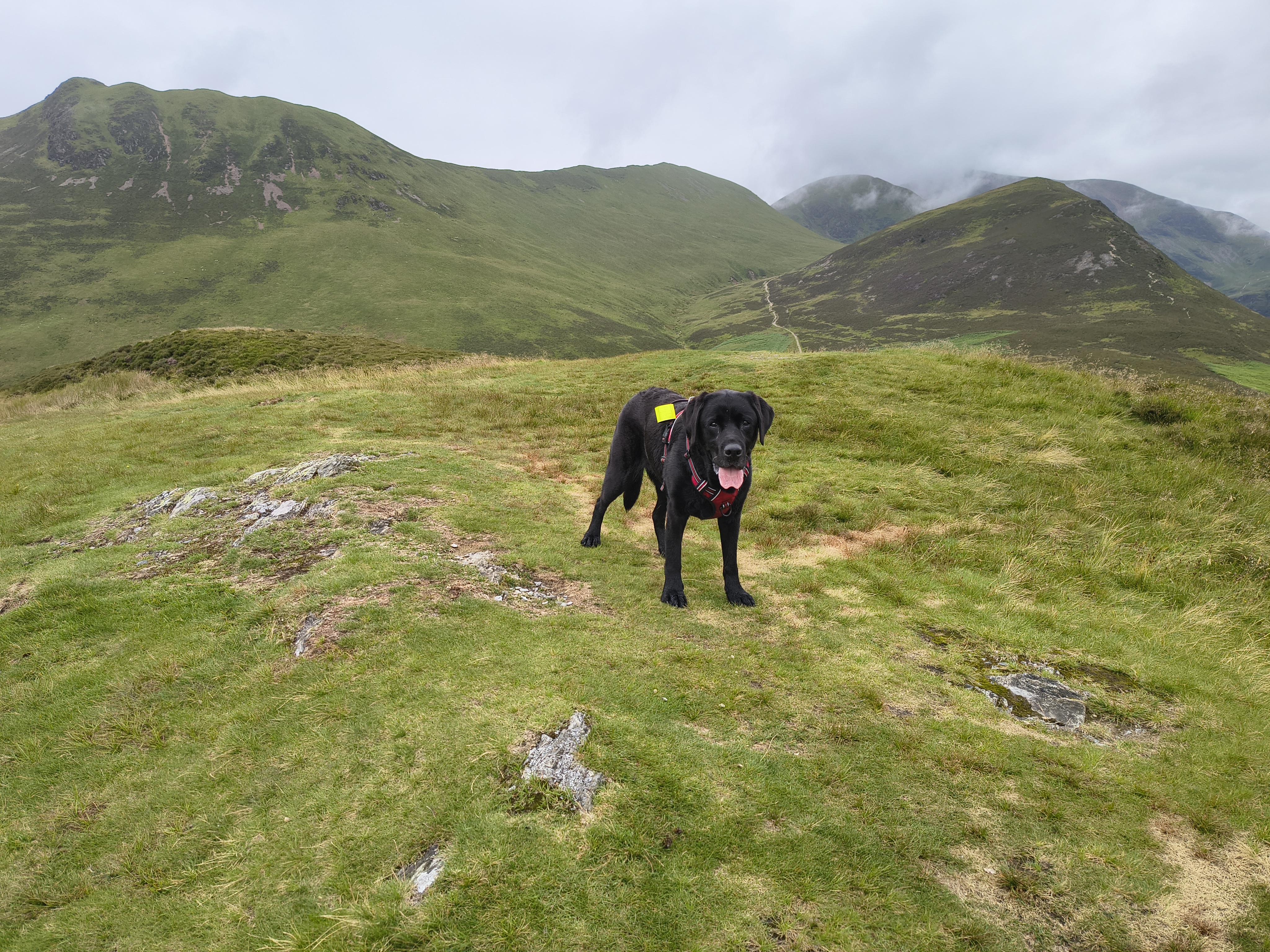 Grisedale Pike - Image 24, Jul 01, 2025