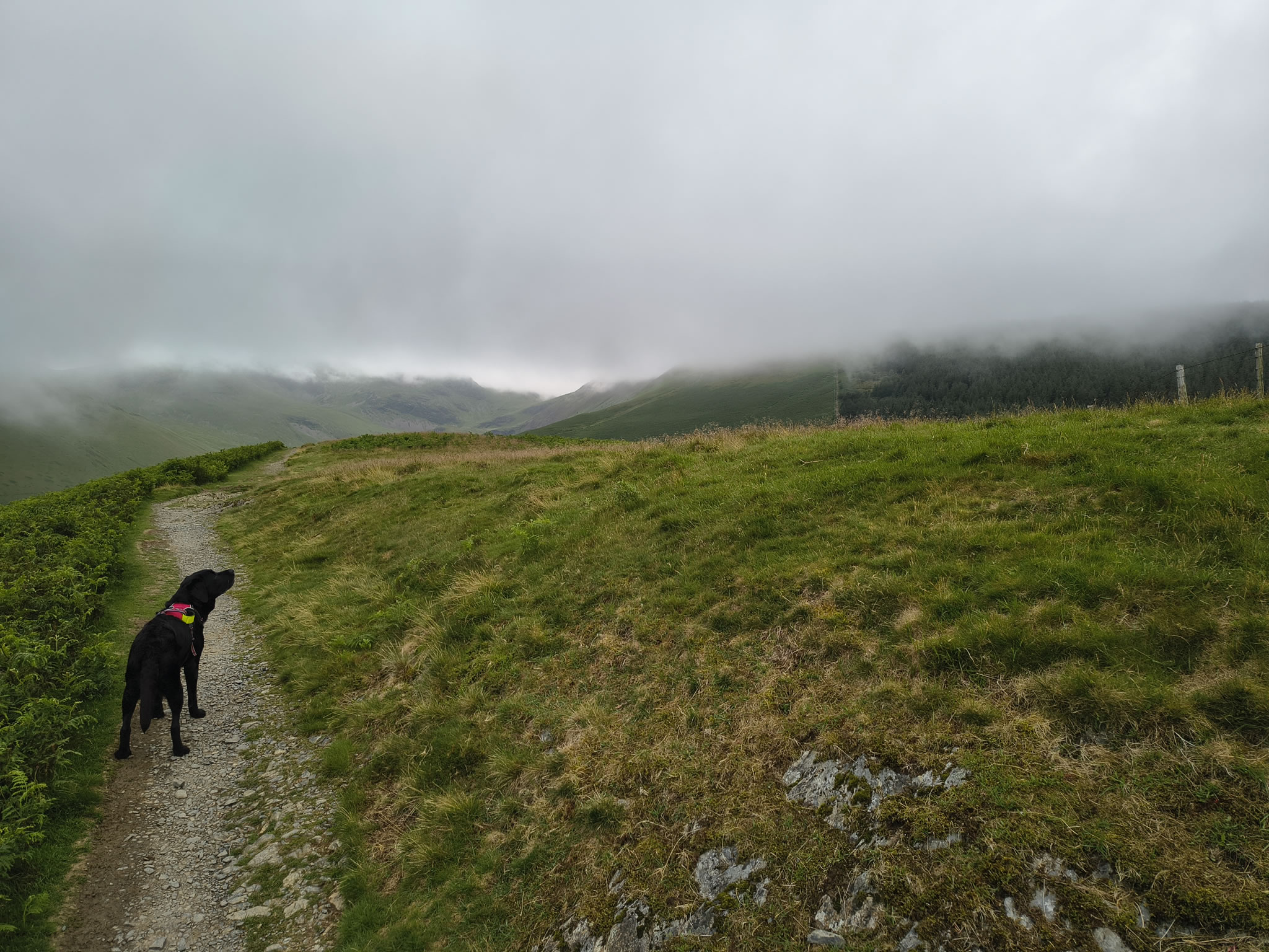 Grisedale Pike - Image 5, Jul 01, 2025
