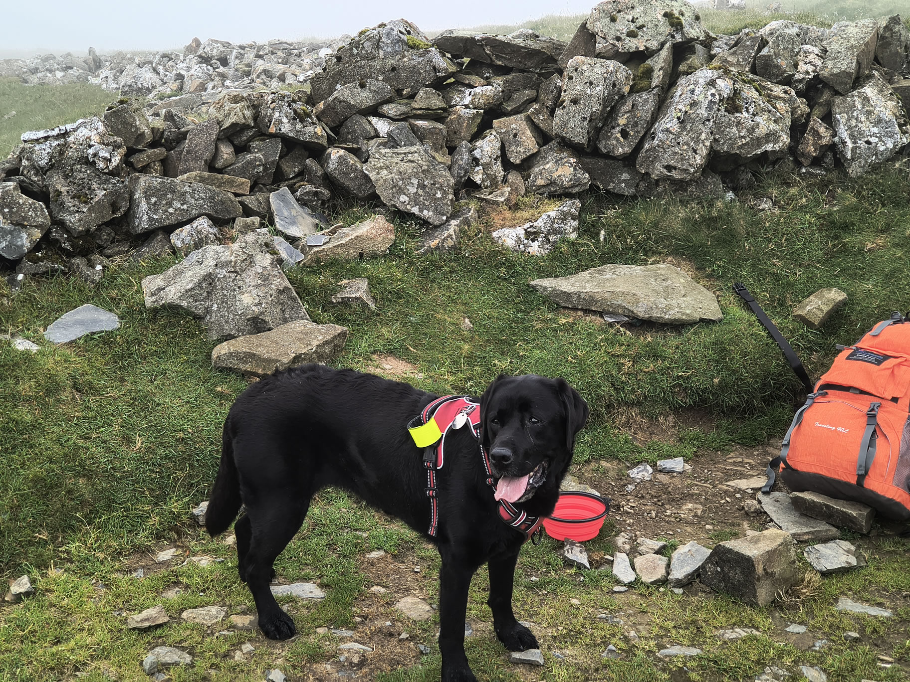 Grisedale Pike - Image 11, Jul 01, 2025