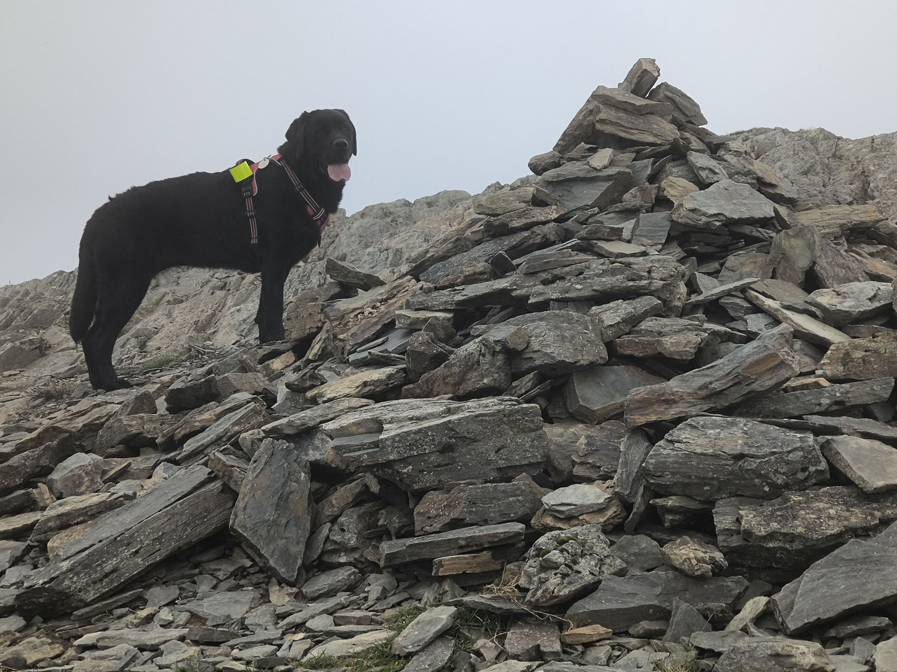 Grisedale Pike - Image 12, Jul 01, 2025