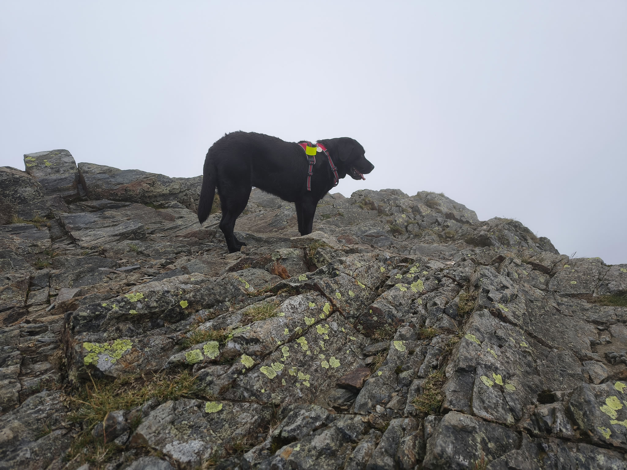 Grisedale Pike - Image 14, Jul 01, 2025