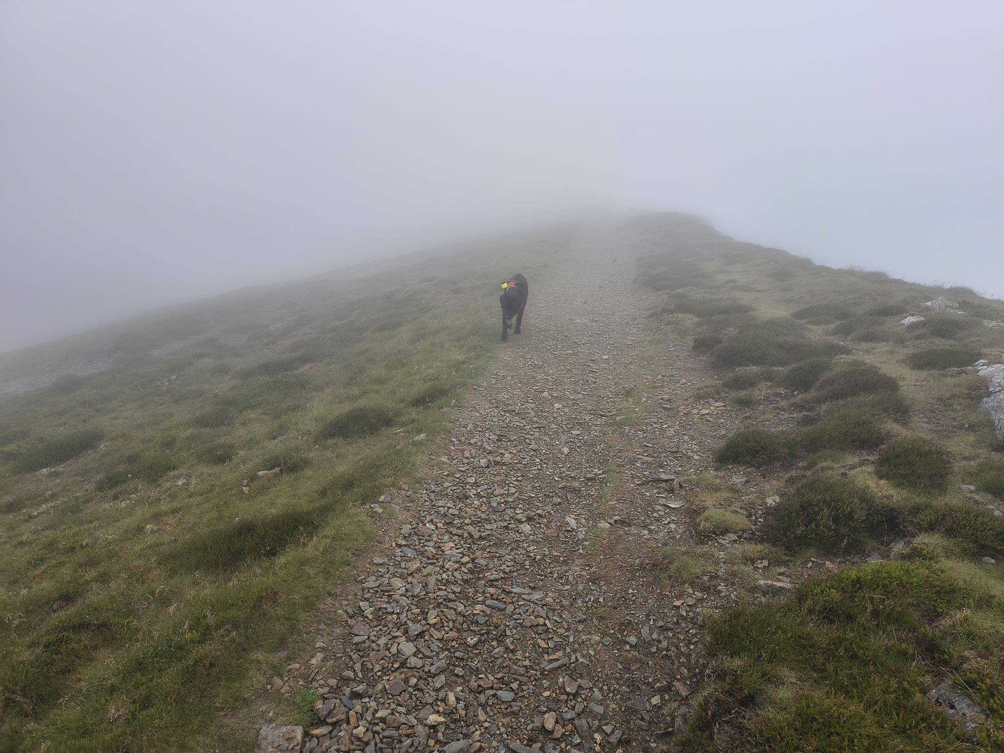 Grisedale Pike - Image 15, Jul 01, 2025