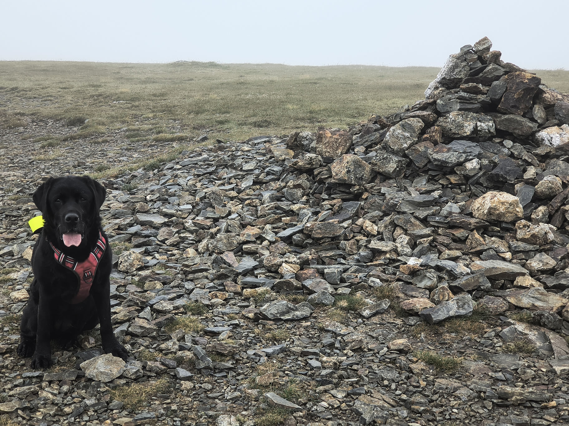 Grisedale Pike - Image 17, Jul 01, 2025