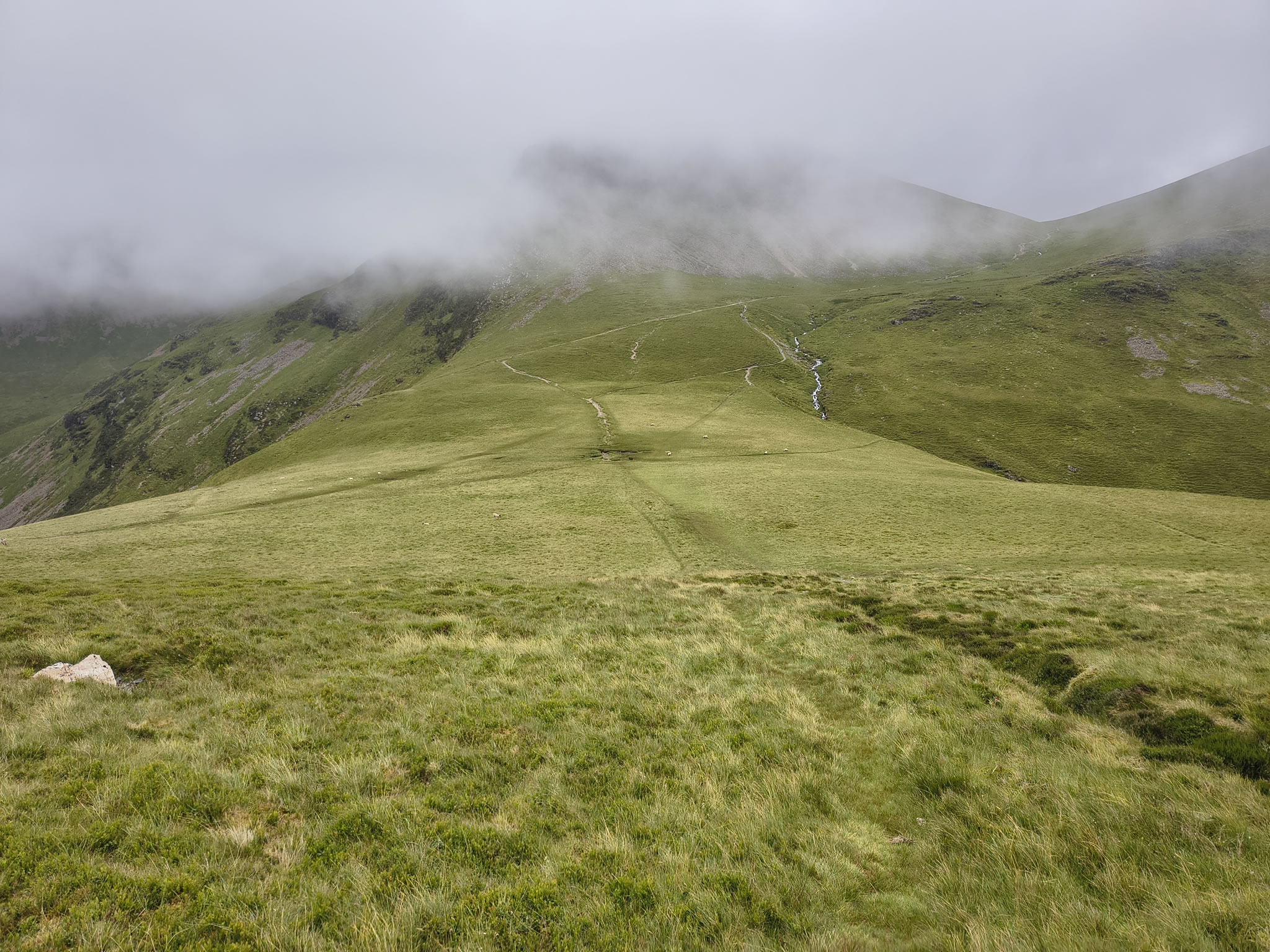 Grisedale Pike - Image 18, Jul 01, 2025