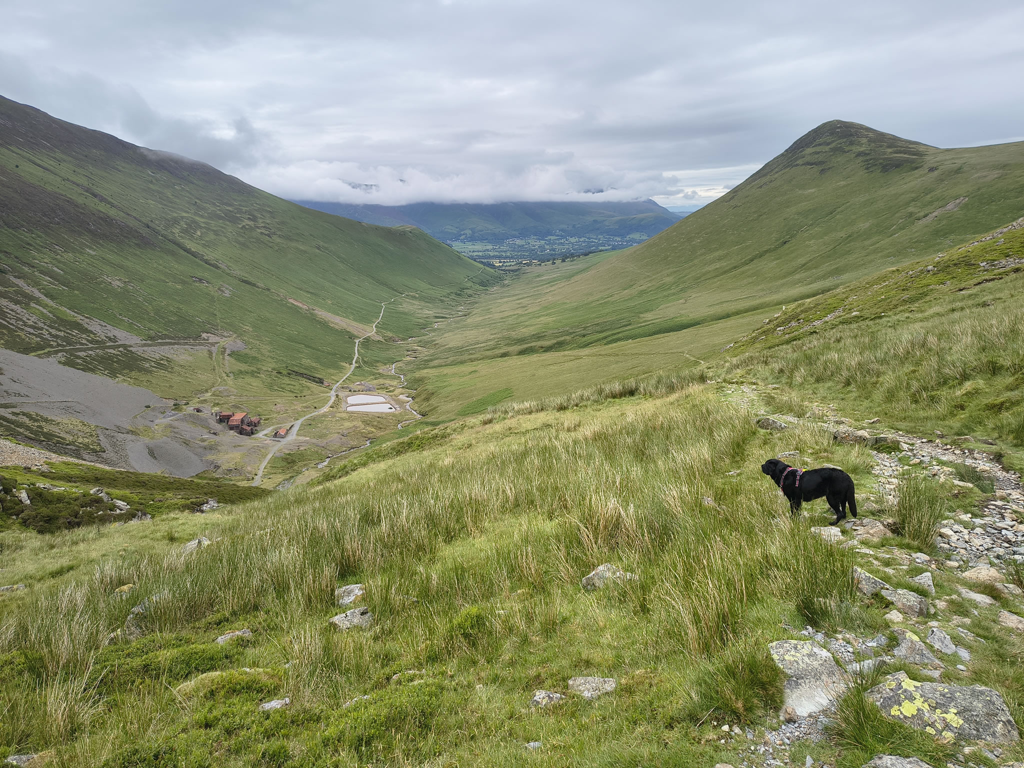 Grisedale Pike - Image 20, Jul 01, 2025
