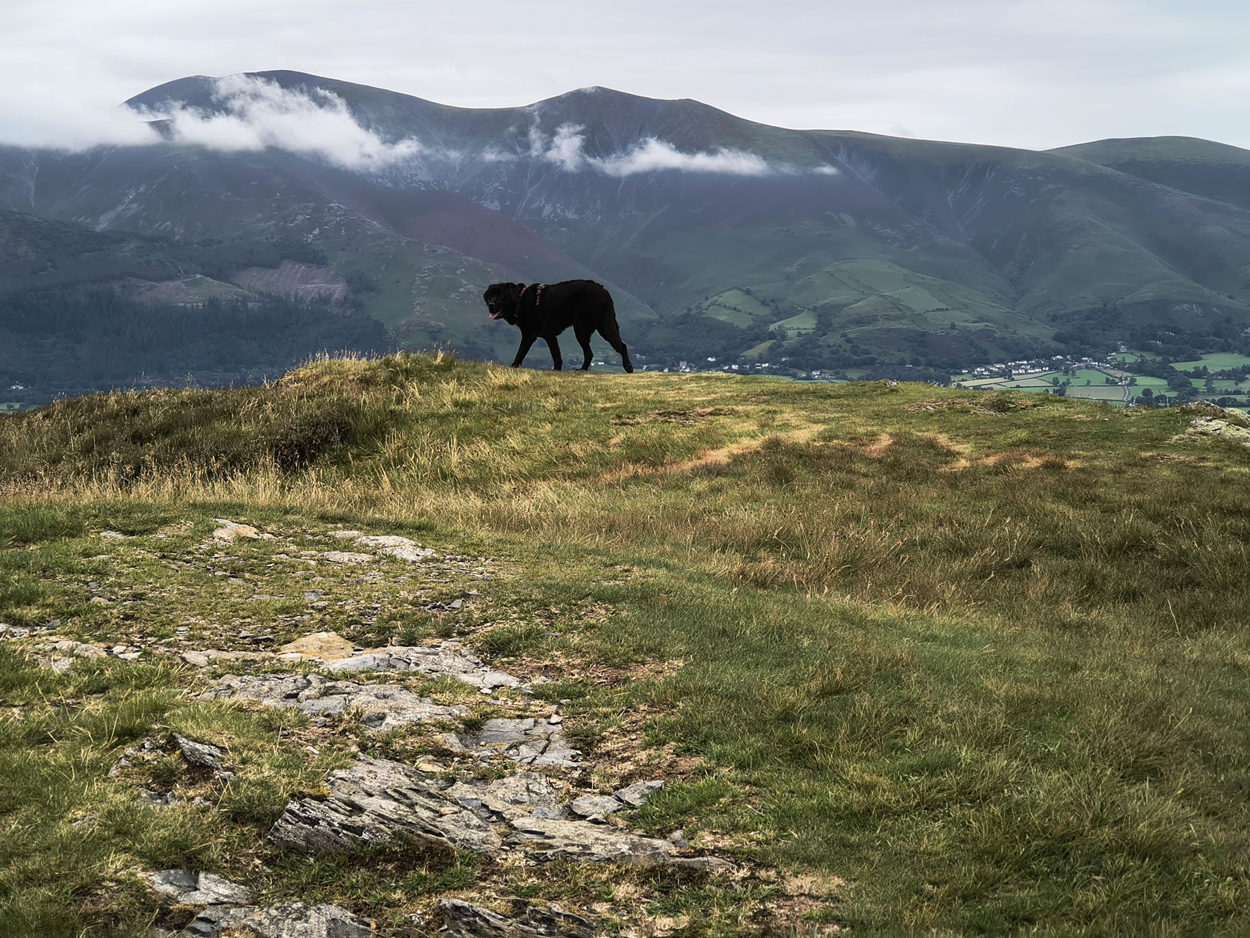 Grisedale Pike - Image 23, Jul 01, 2025