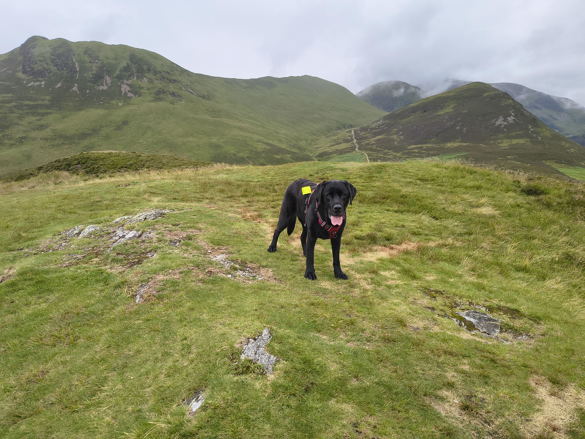 Grisedale Pike - Image 24, Jul 01, 2025