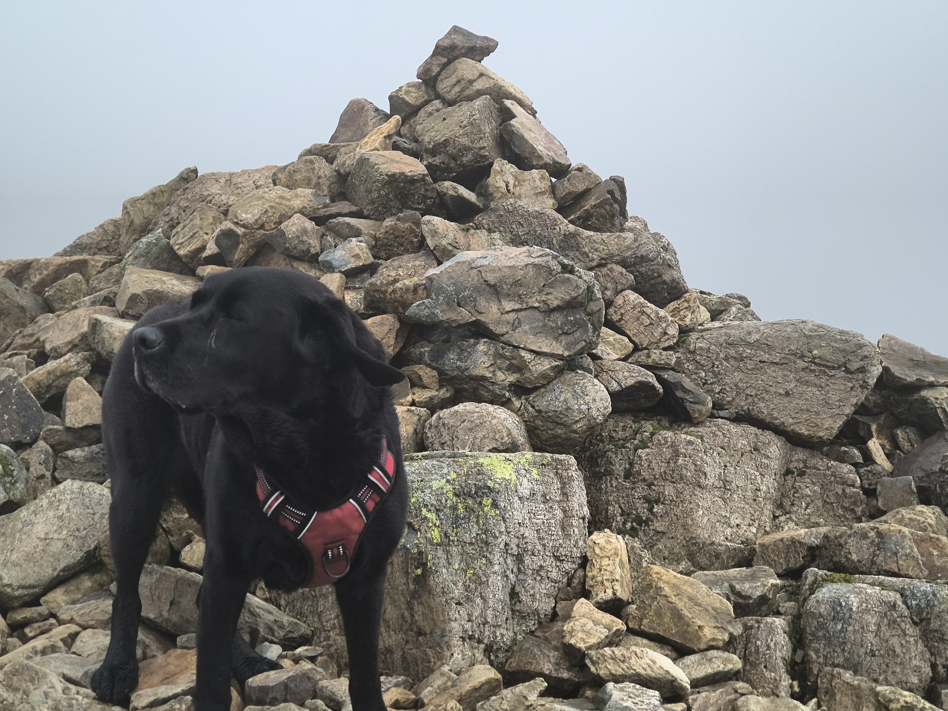 Crinkle Crags, Bowfell - Image 15, Jul 02, 2025