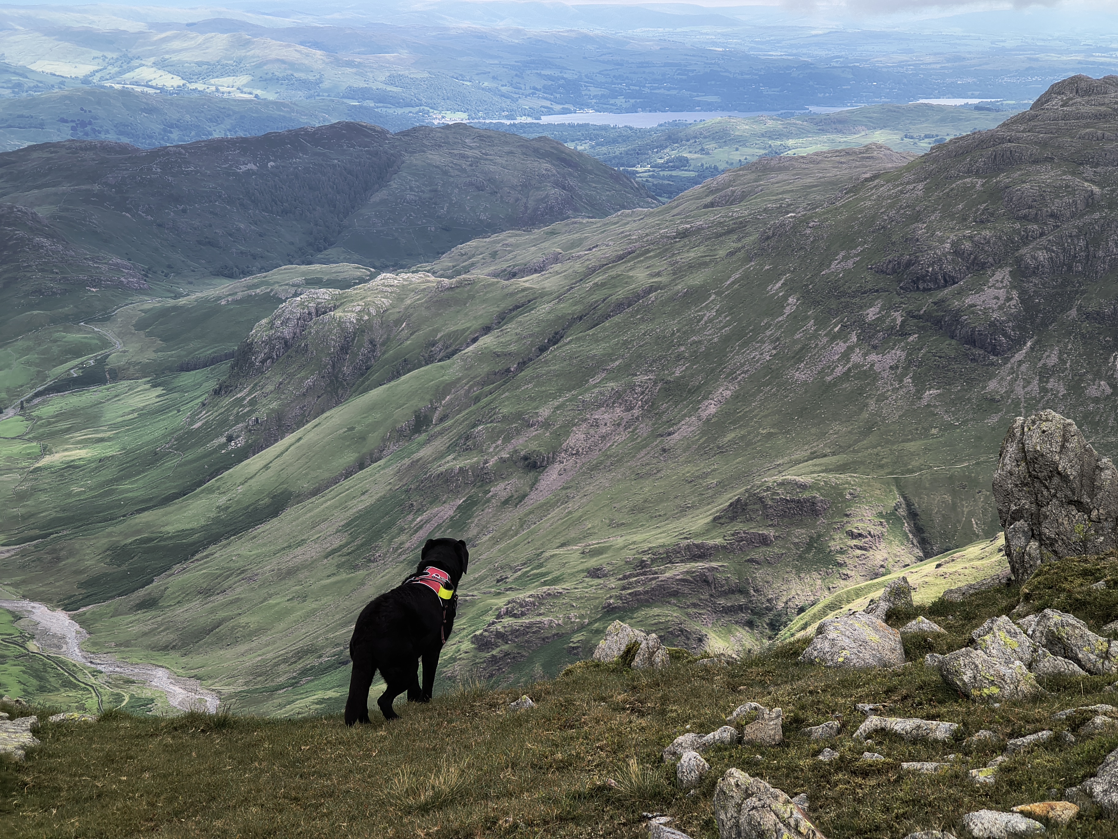 Crinkle Crags, Bowfell - Image 23, Jul 02, 2025
