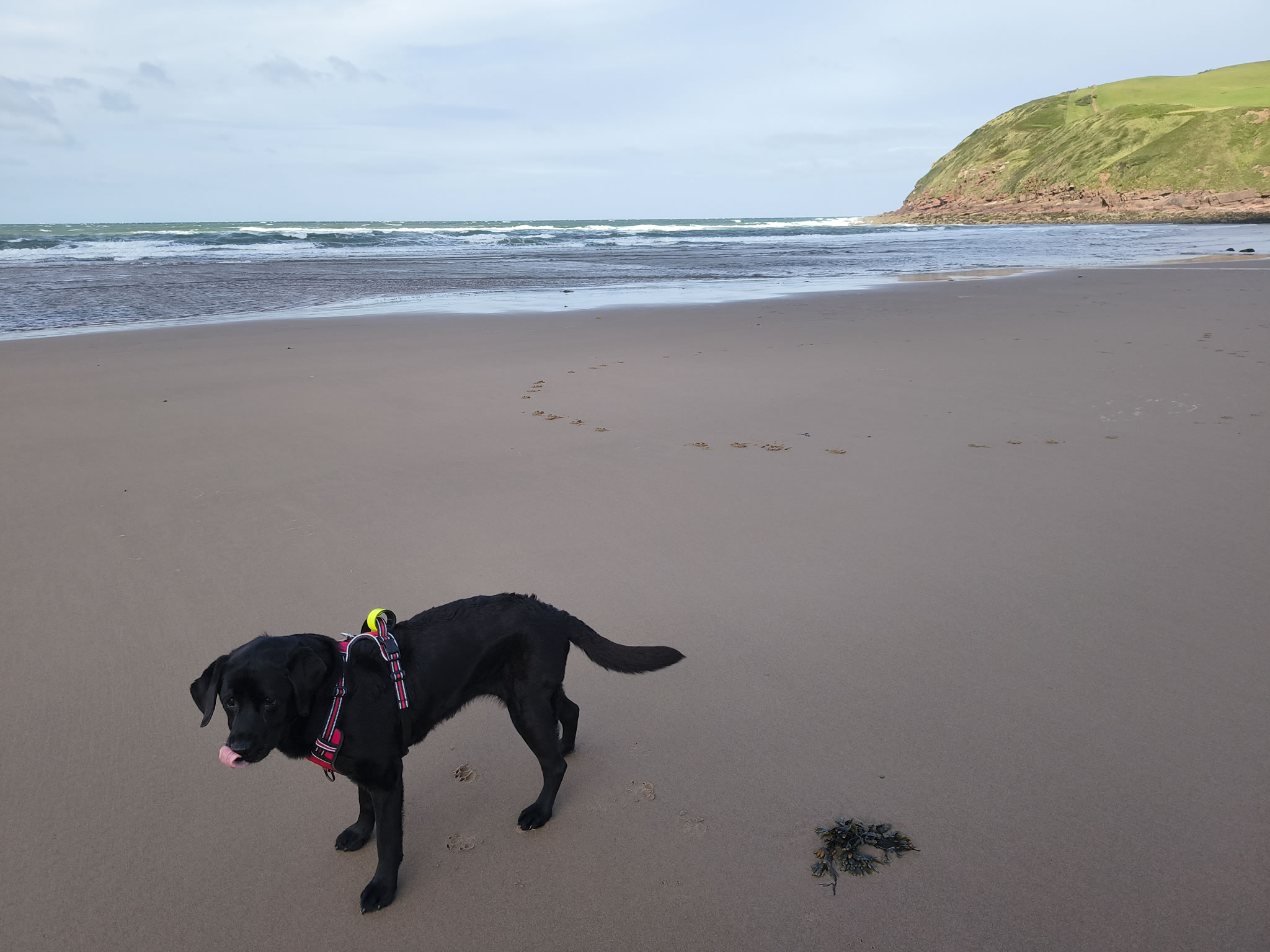 St Bees - Image 3, Jul 04, 2025
