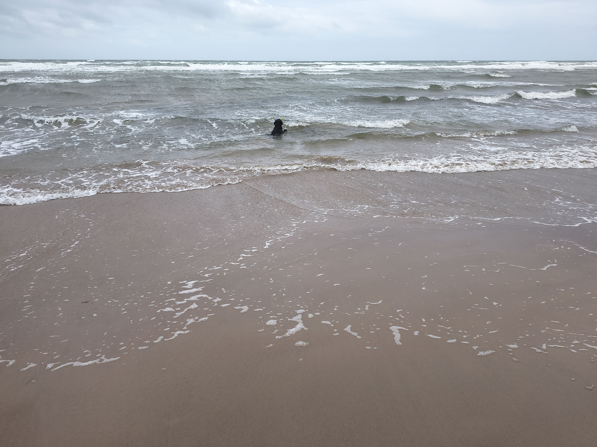 St Bees - Image 8, Jul 04, 2025