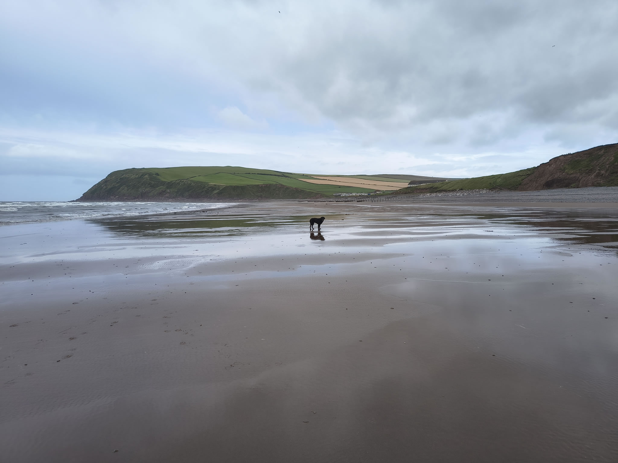 St Bees - Image 9, Jul 04, 2025