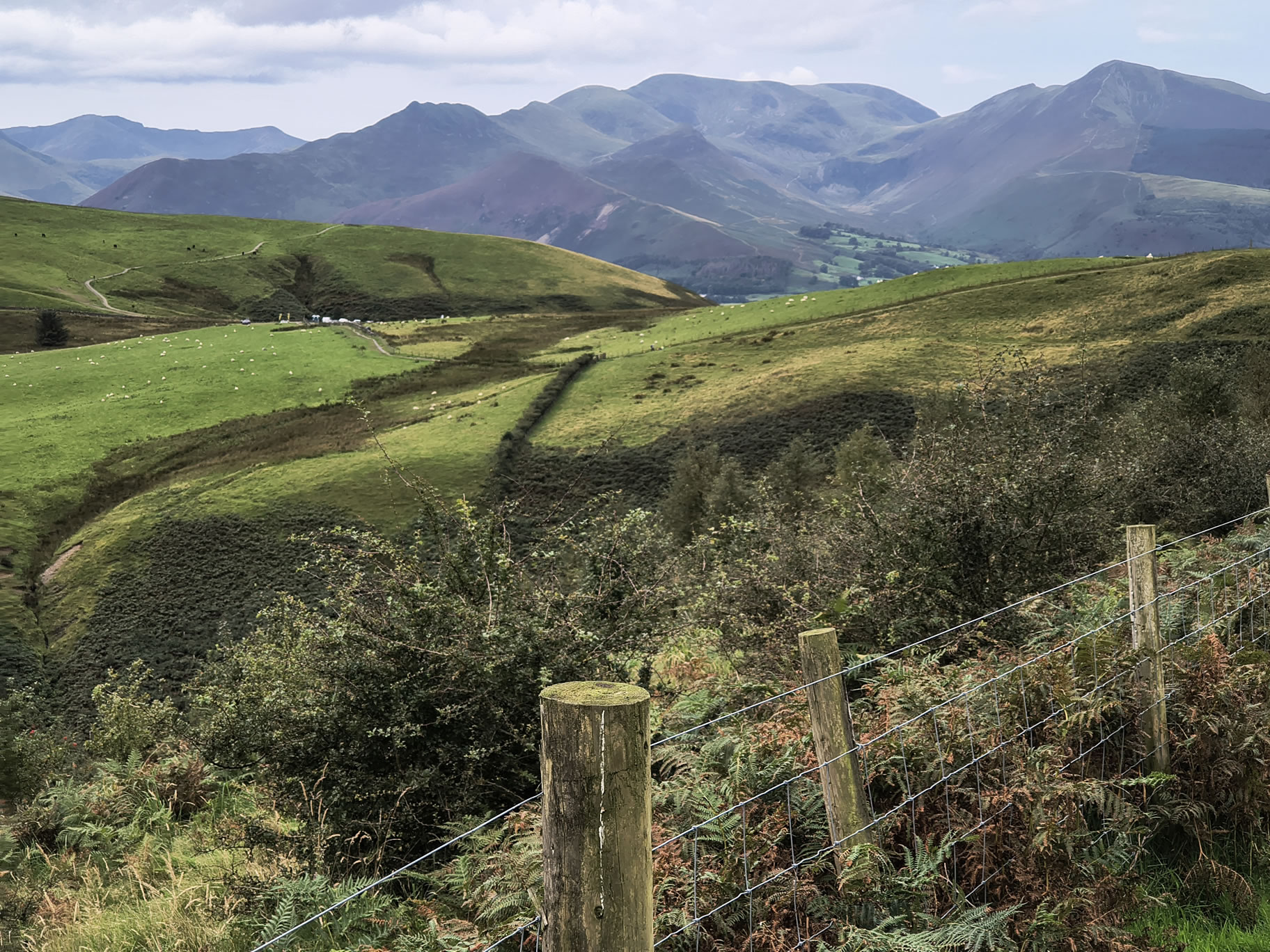 Bakestall, Skiddaw - Image 4, Sep 06, 2025