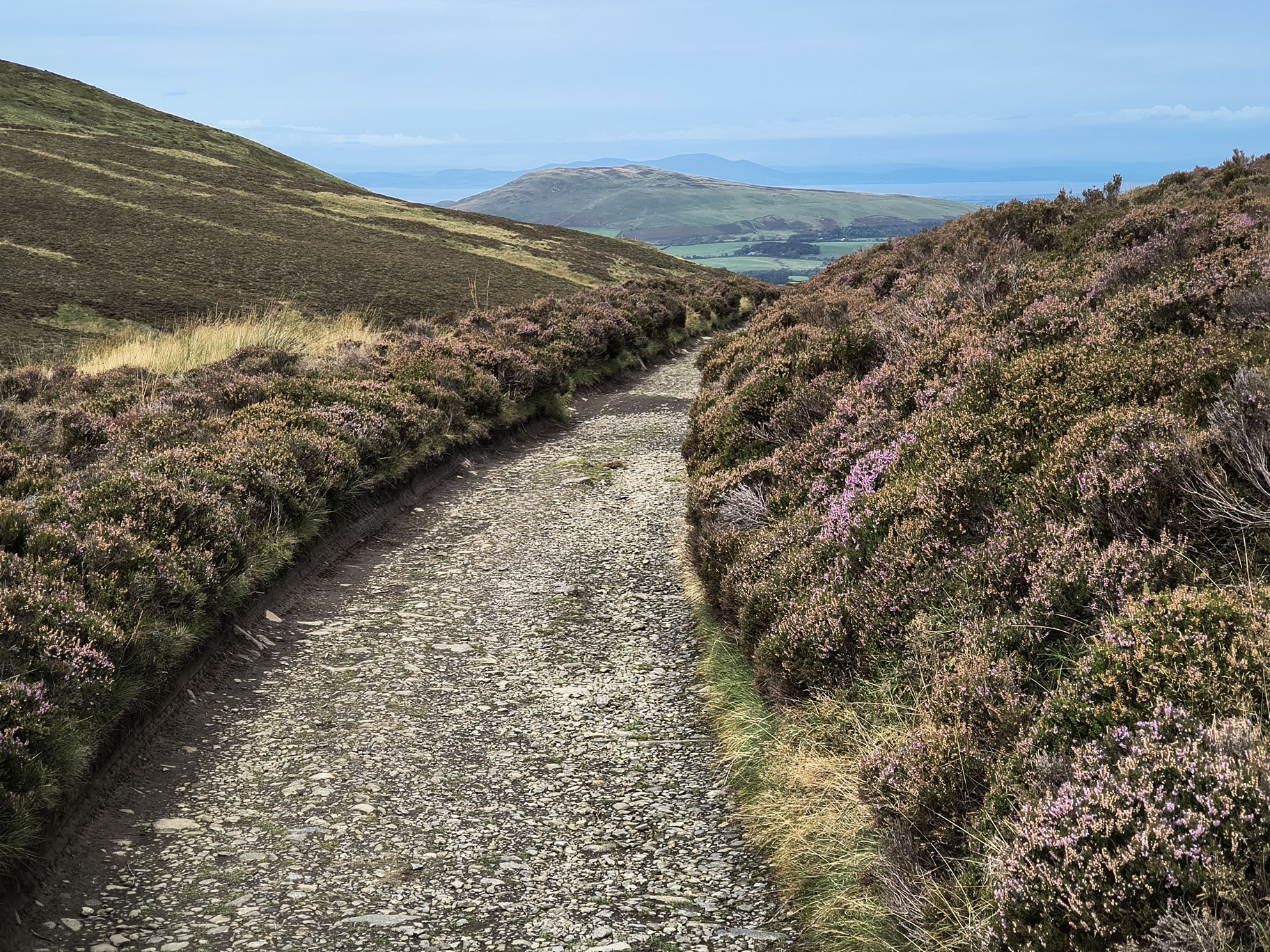 Bakestall, Skiddaw - Image 9, Sep 06, 2025