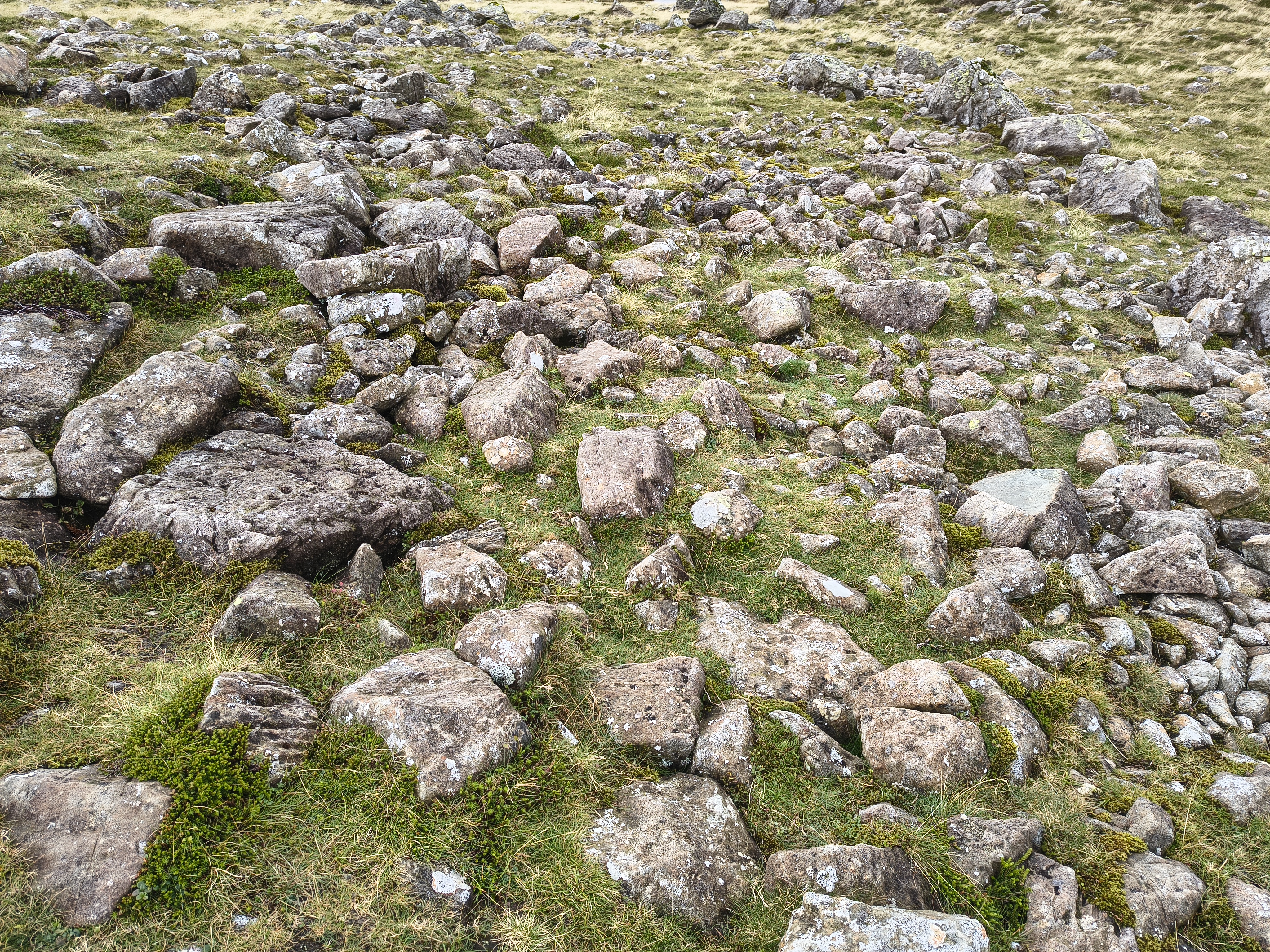 Great Gable, Haystacks - Image 3, Sep 08, 2025
