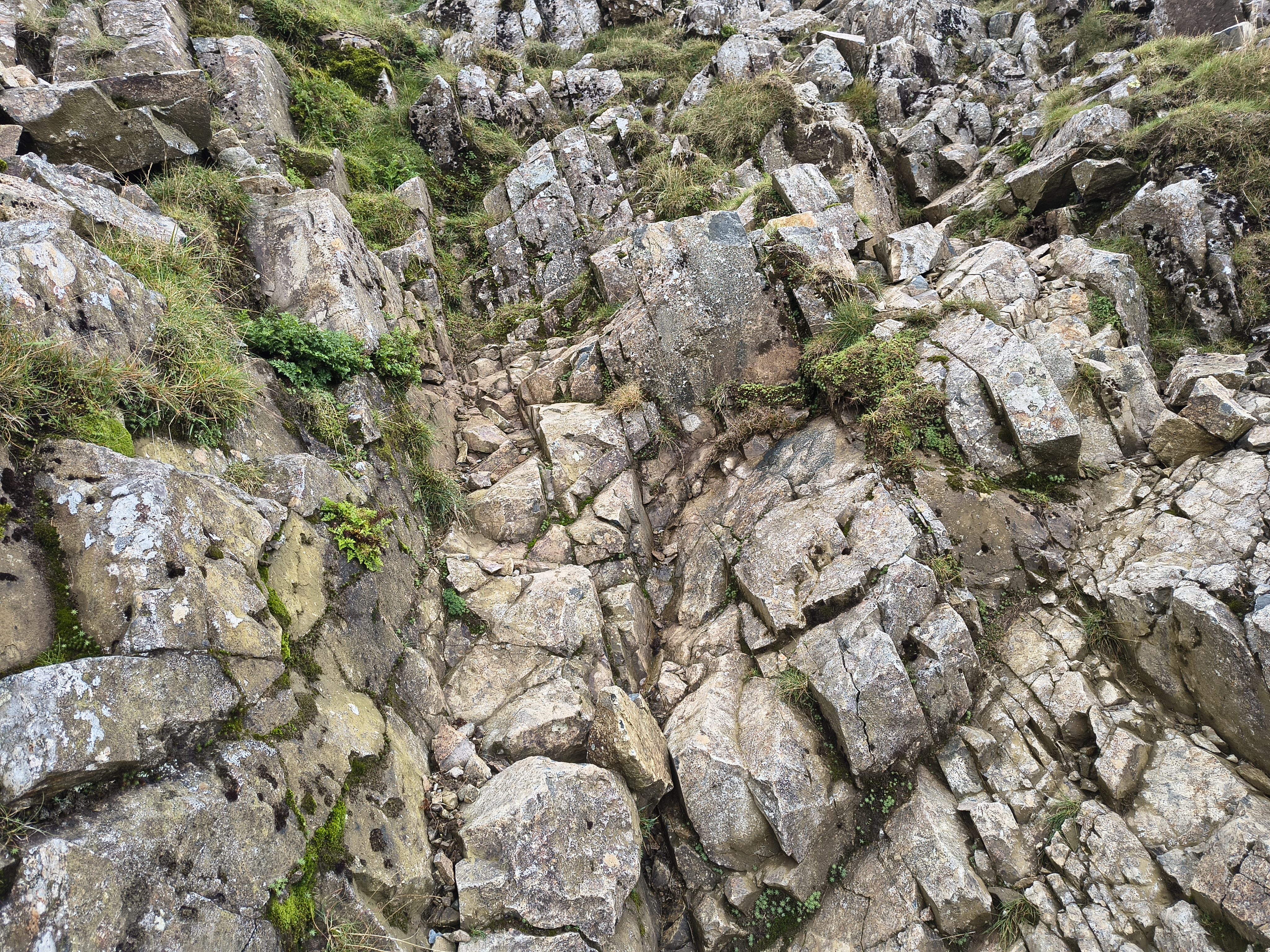 Great Gable, Haystacks - Image 10, Sep 08, 2025