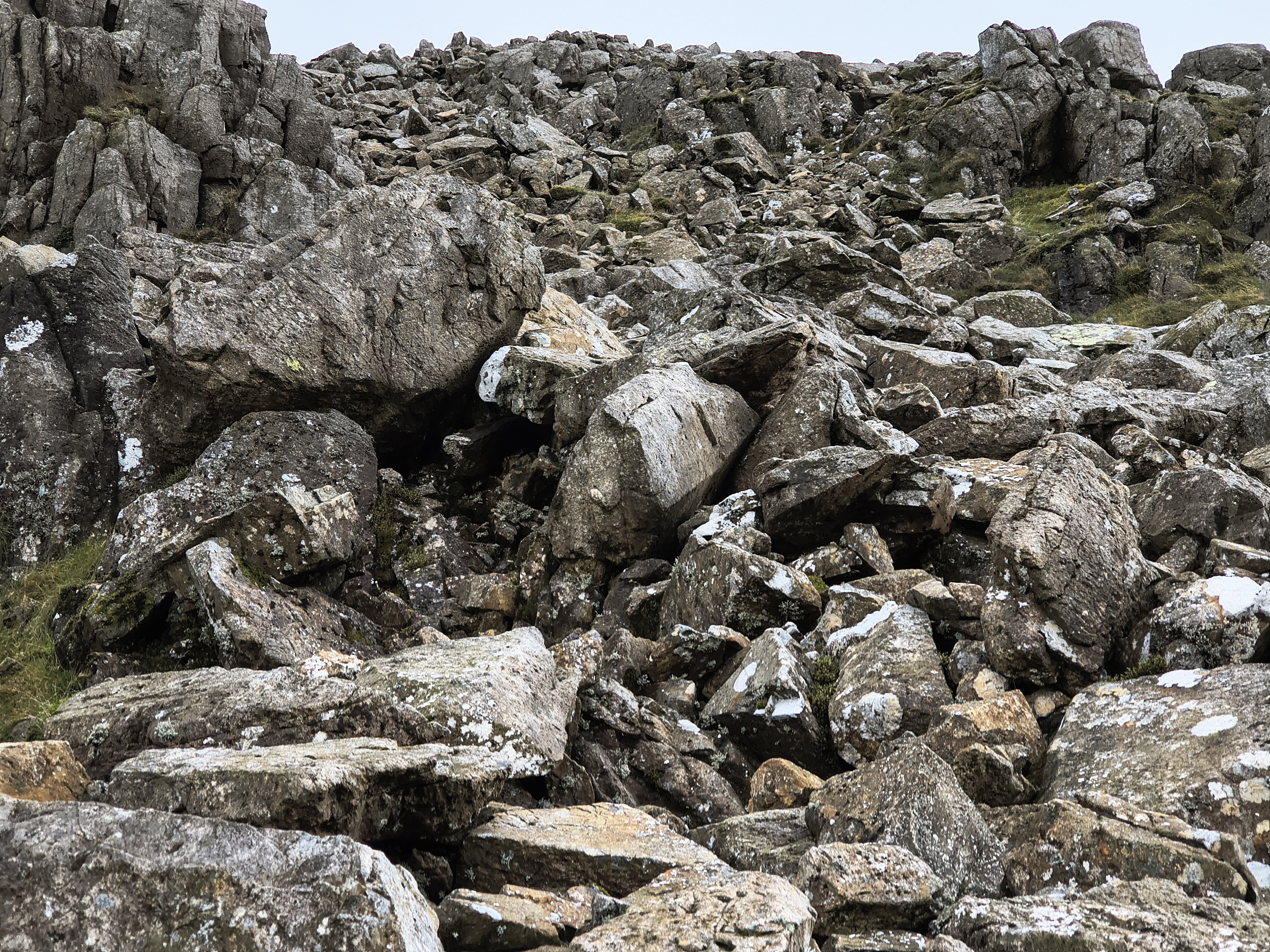 Great Gable, Haystacks - Image 16, Sep 08, 2025
