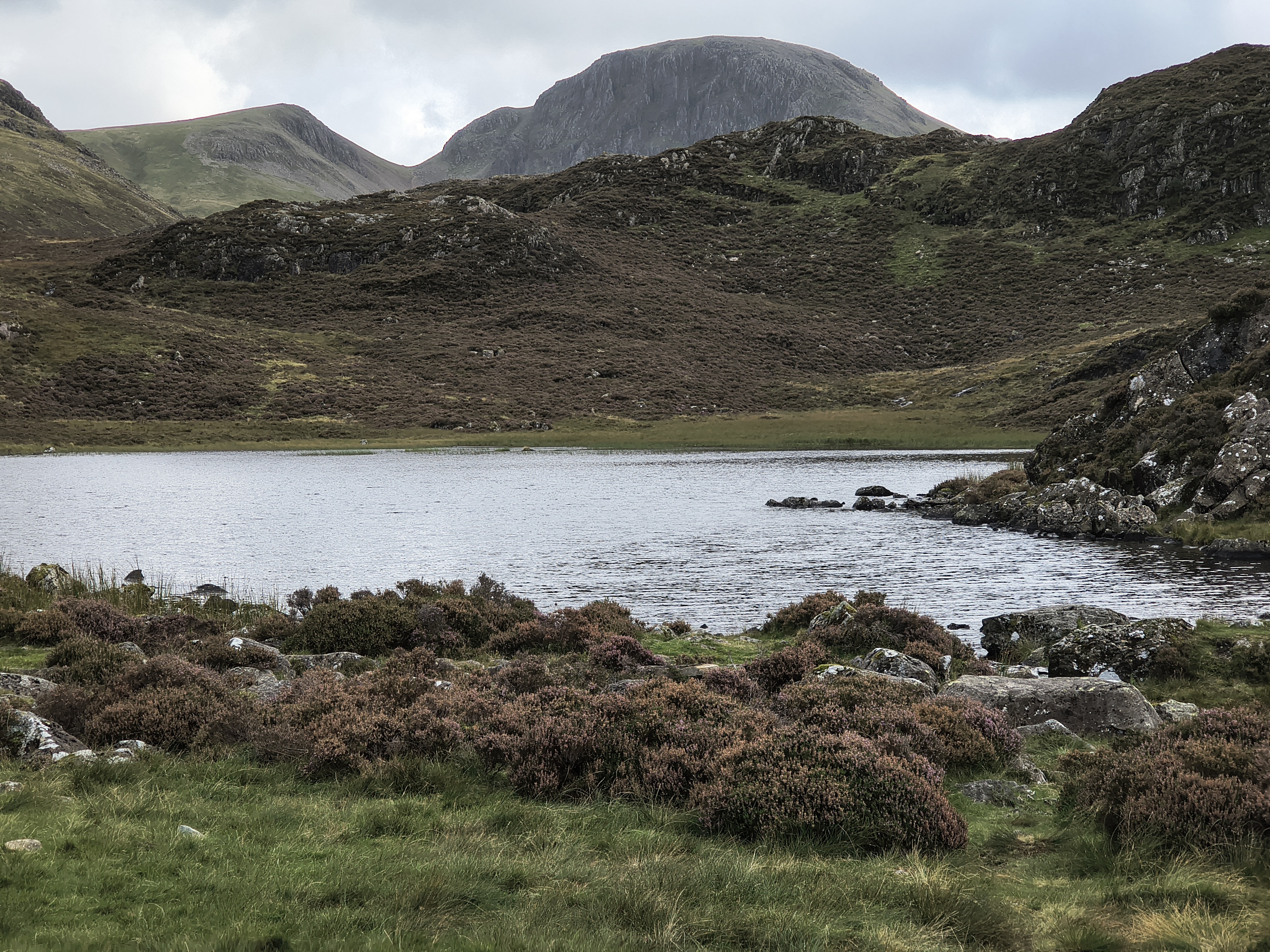 Great Gable, Haystacks - Image 25, Sep 08, 2025