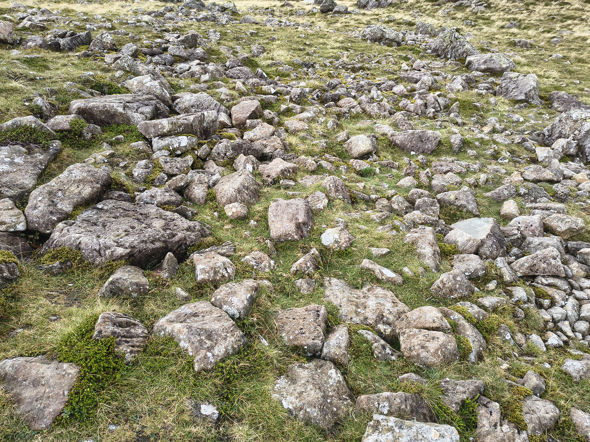 Great Gable, Haystacks - Image 3, Sep 08, 2025