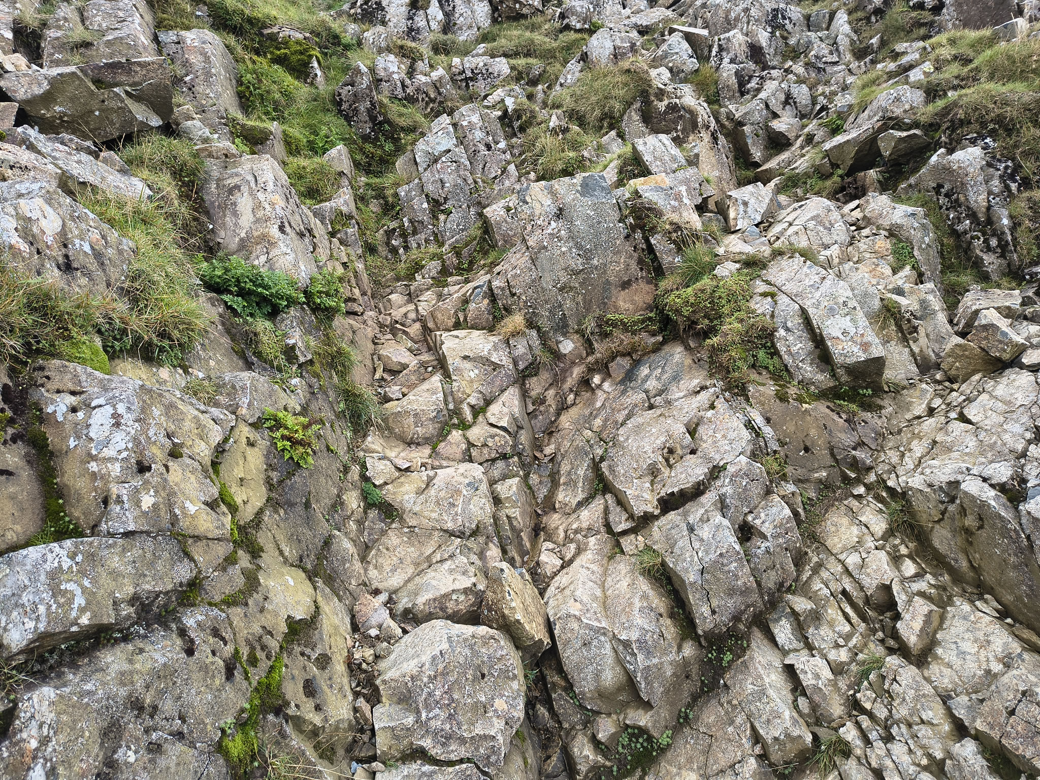 Great Gable, Haystacks - Image 10, Sep 08, 2025