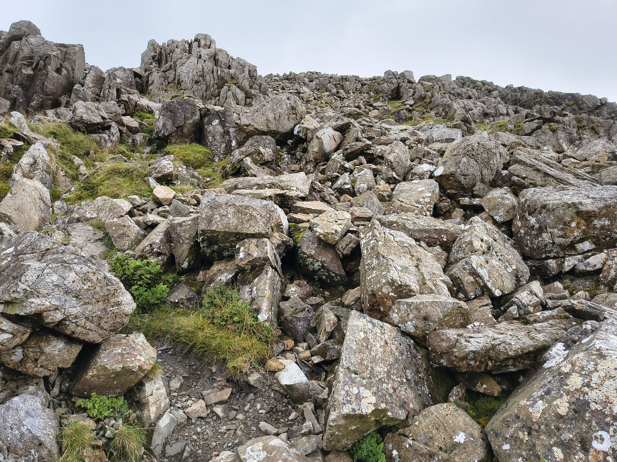 Great Gable, Haystacks - Image 15, Sep 08, 2025