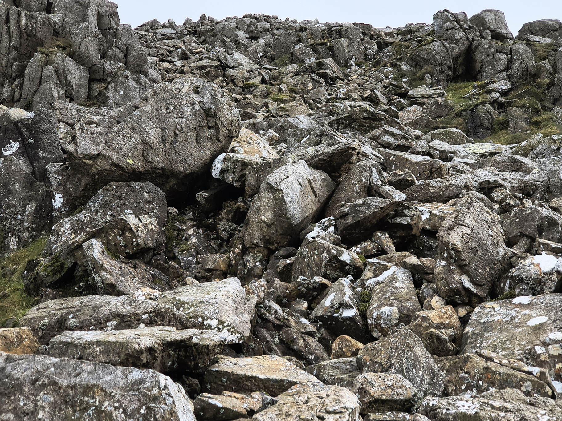 Great Gable, Haystacks - Image 16, Sep 08, 2025
