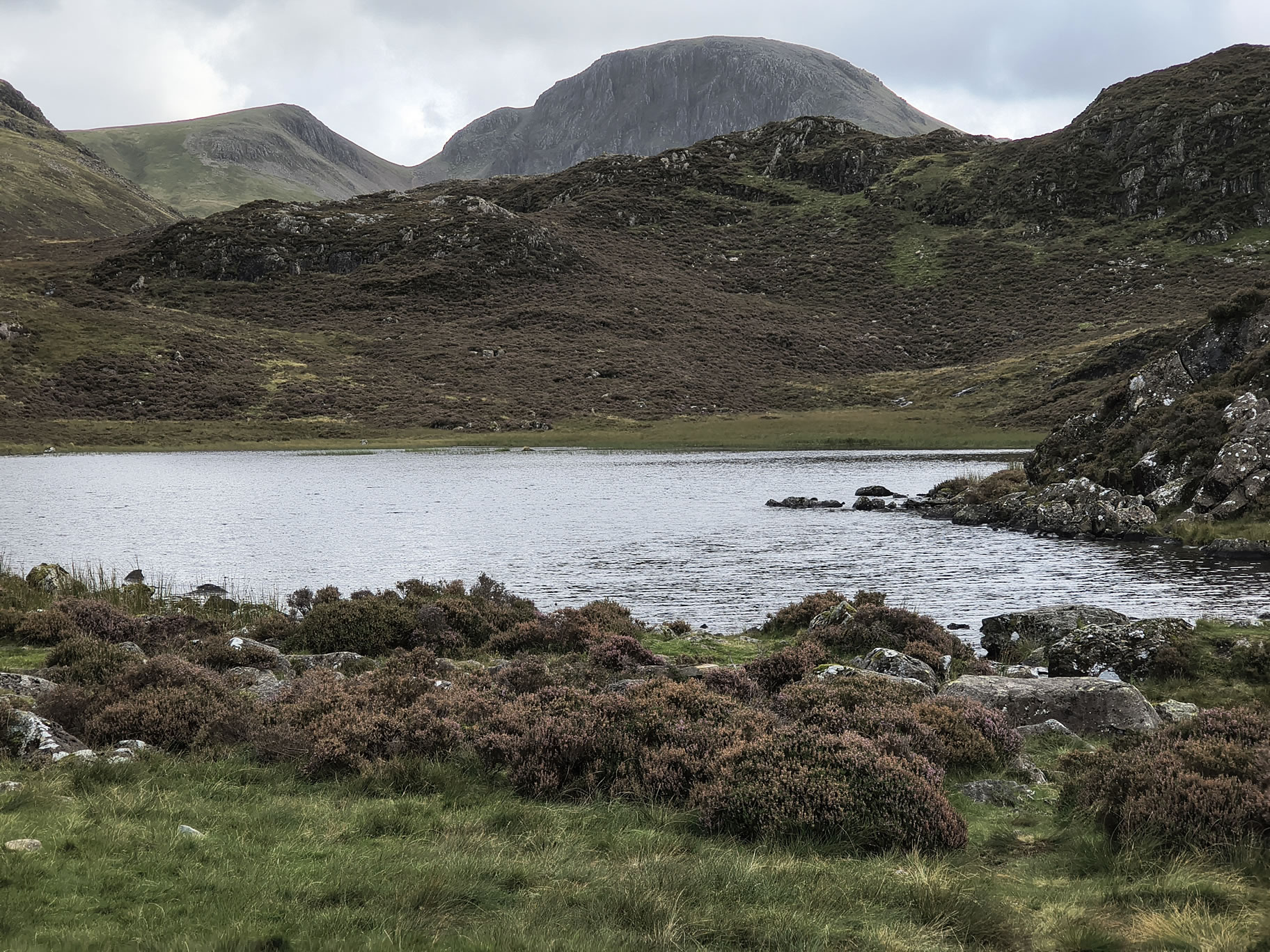 Great Gable, Haystacks - Image 25, Sep 08, 2025