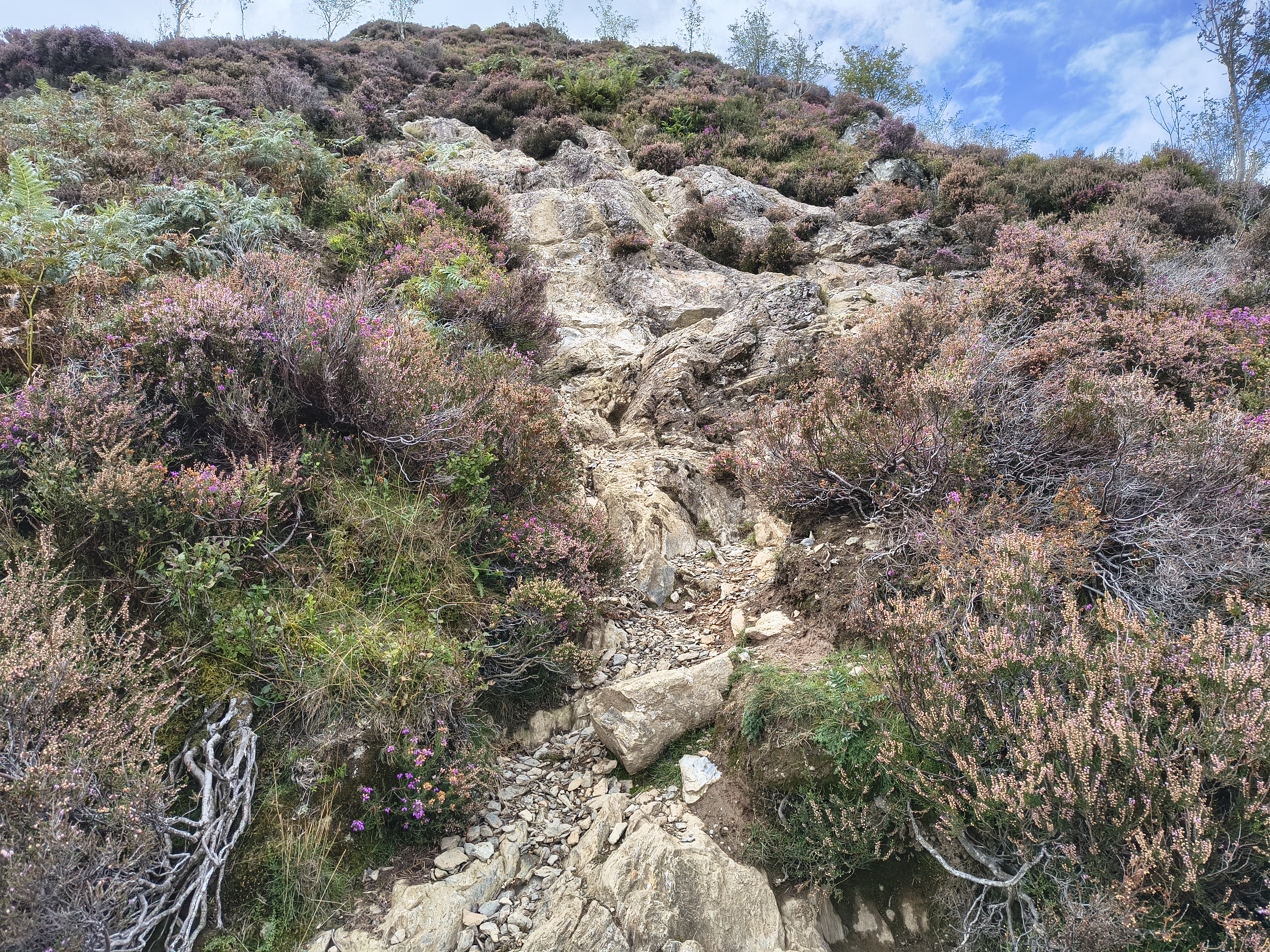 A Coledale Horseshoe - Image 19, Sep 09, 2025
