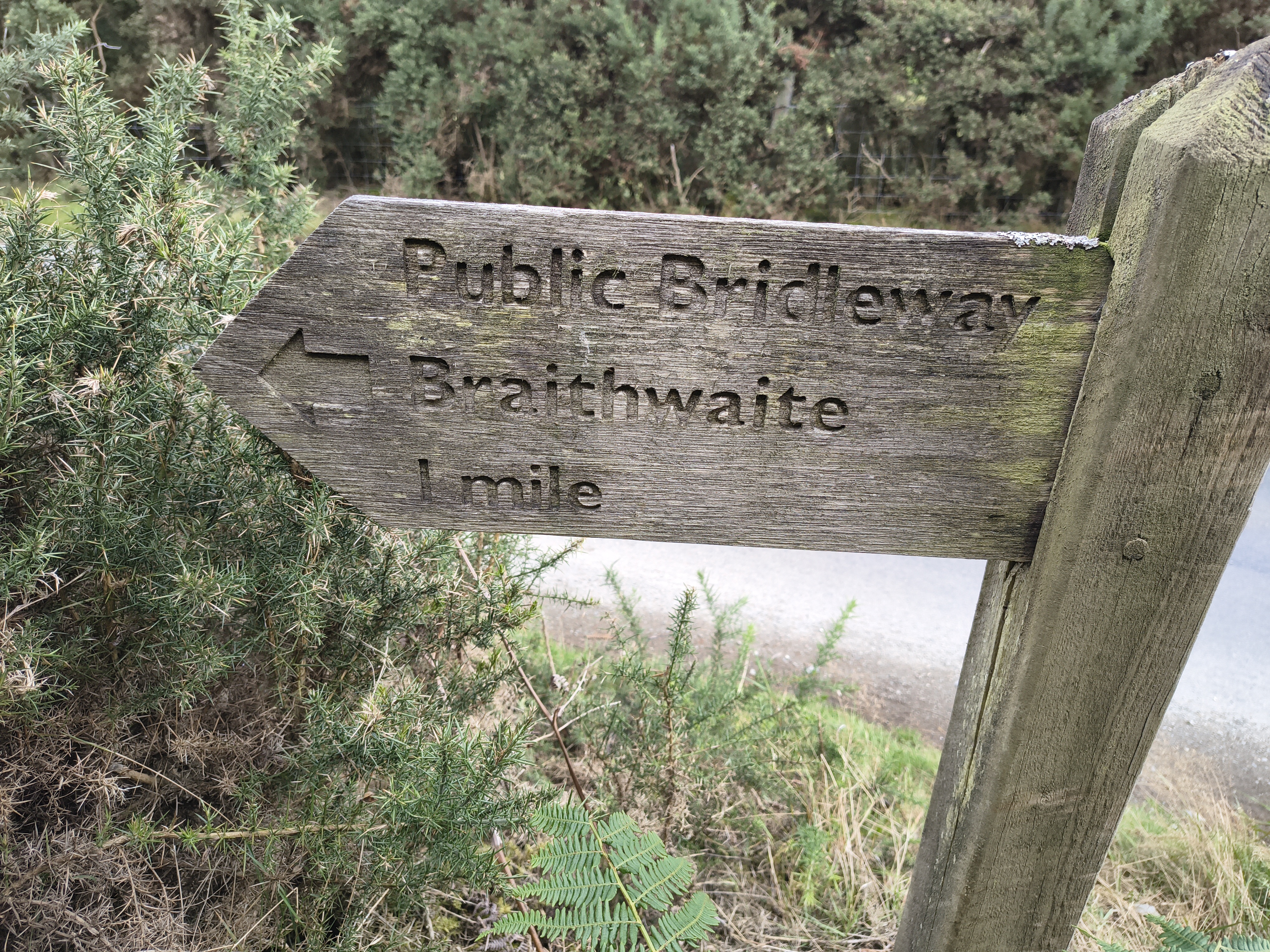 A Coledale Horseshoe - Image 20, Sep 09, 2025
