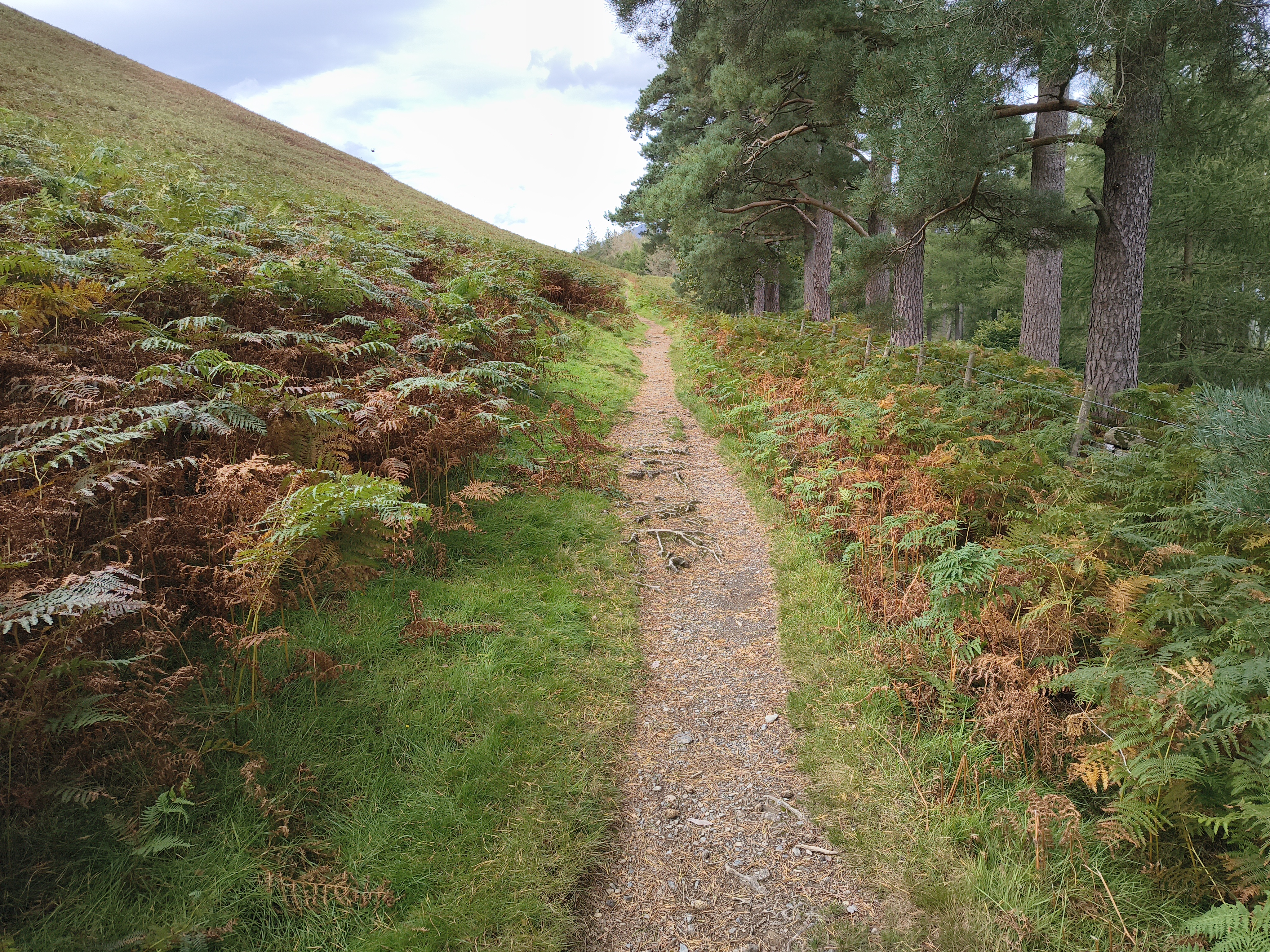 A Coledale Horseshoe - Image 21, Sep 09, 2025