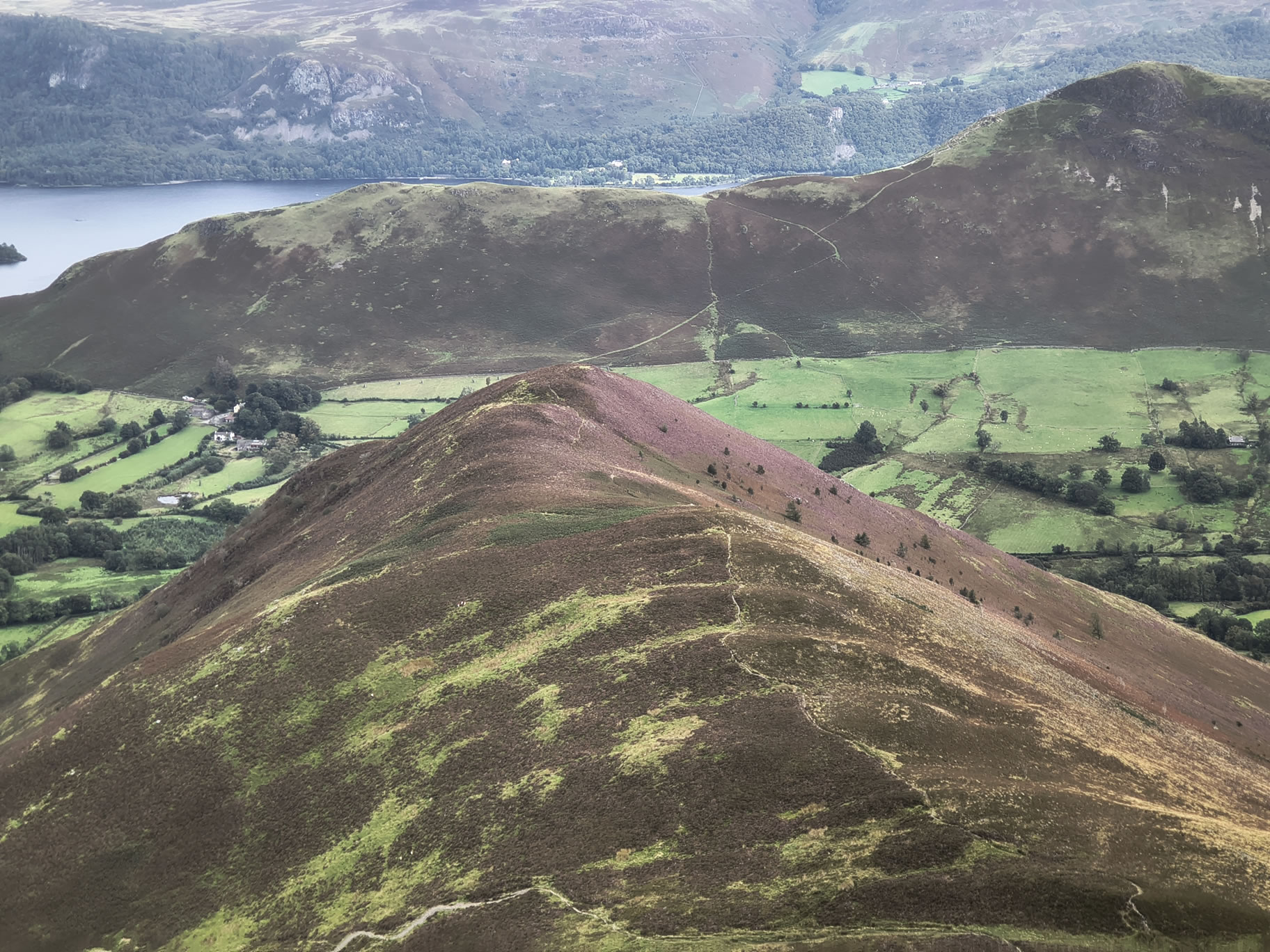 A Coledale Horseshoe - Image 15, Sep 09, 2025