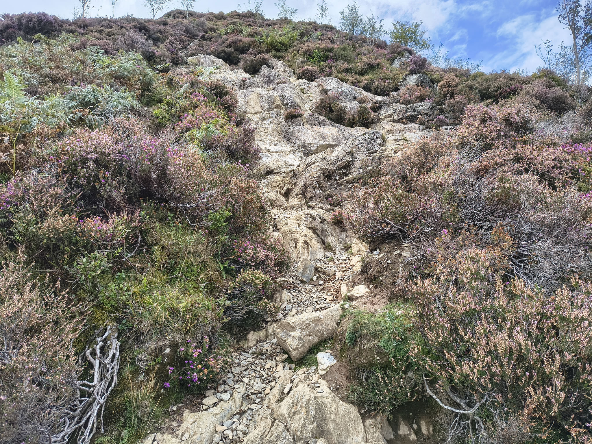 A Coledale Horseshoe - Image 19, Sep 09, 2025