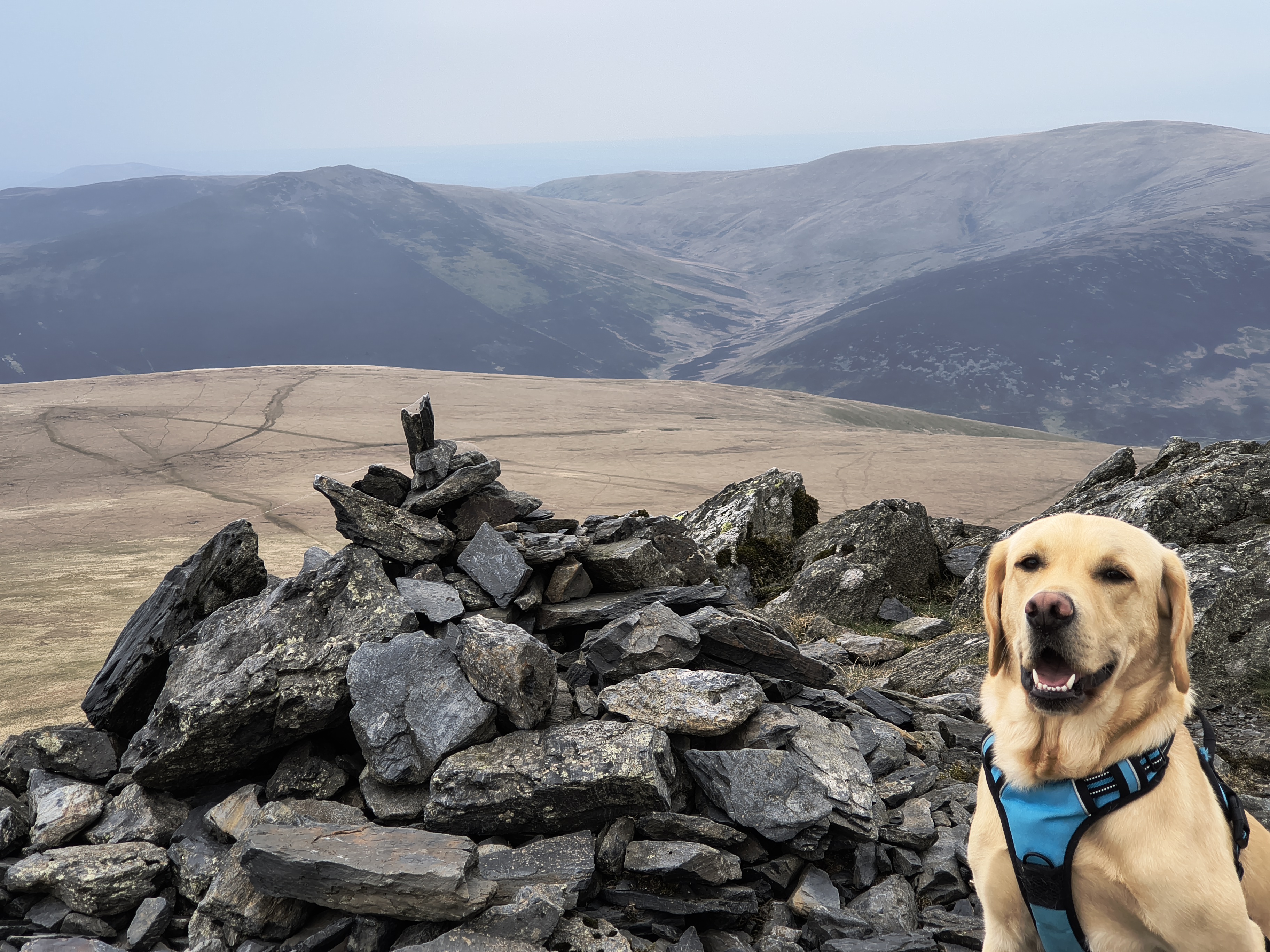 Blencathra HF Ridge - Image 17, May 01, 2026