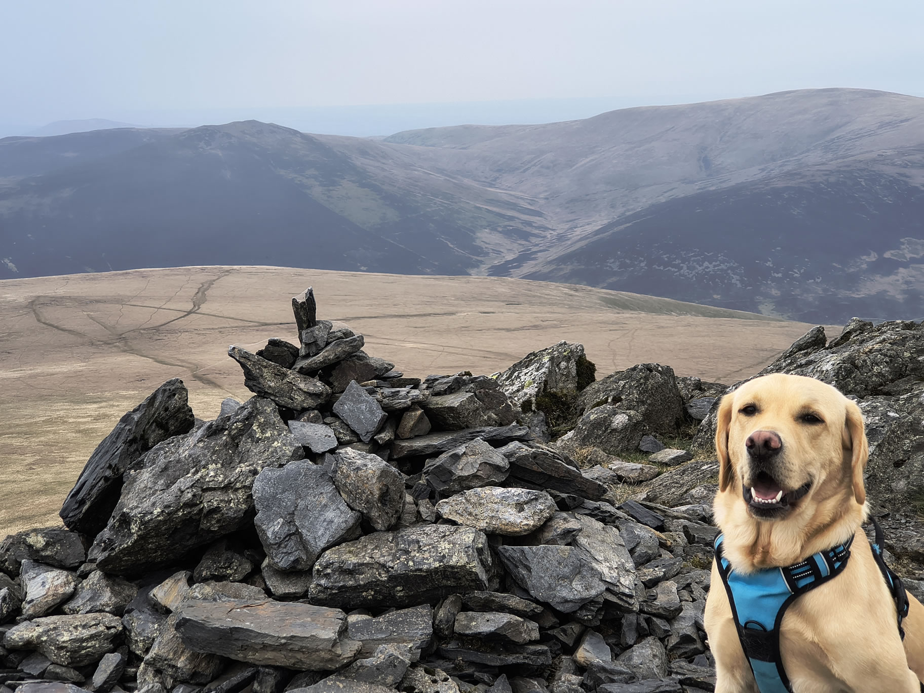 Blencathra HF Ridge - Image 17, May 01, 2026