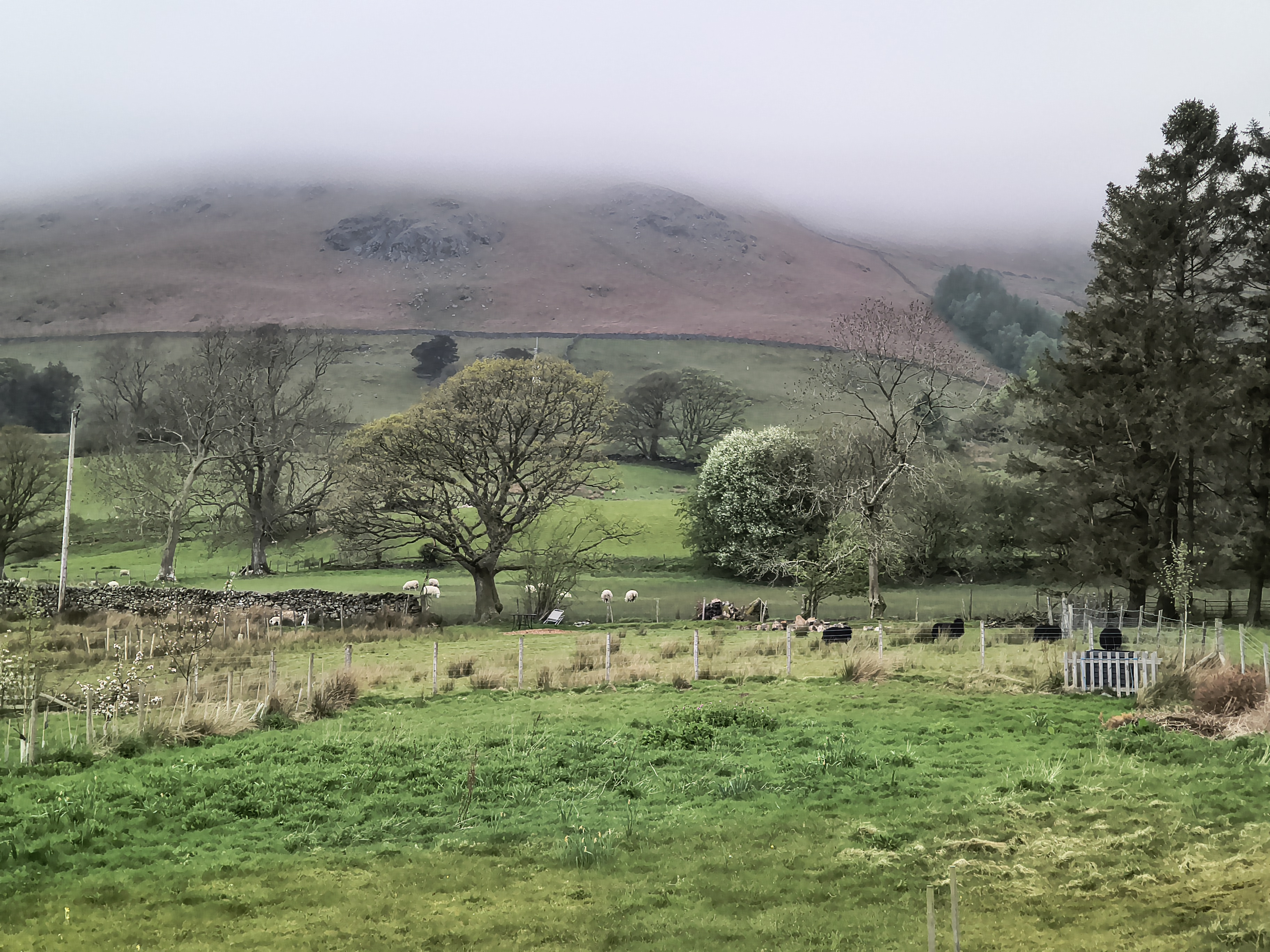 Stile End, Barrow - Image 2, May 02, 2026