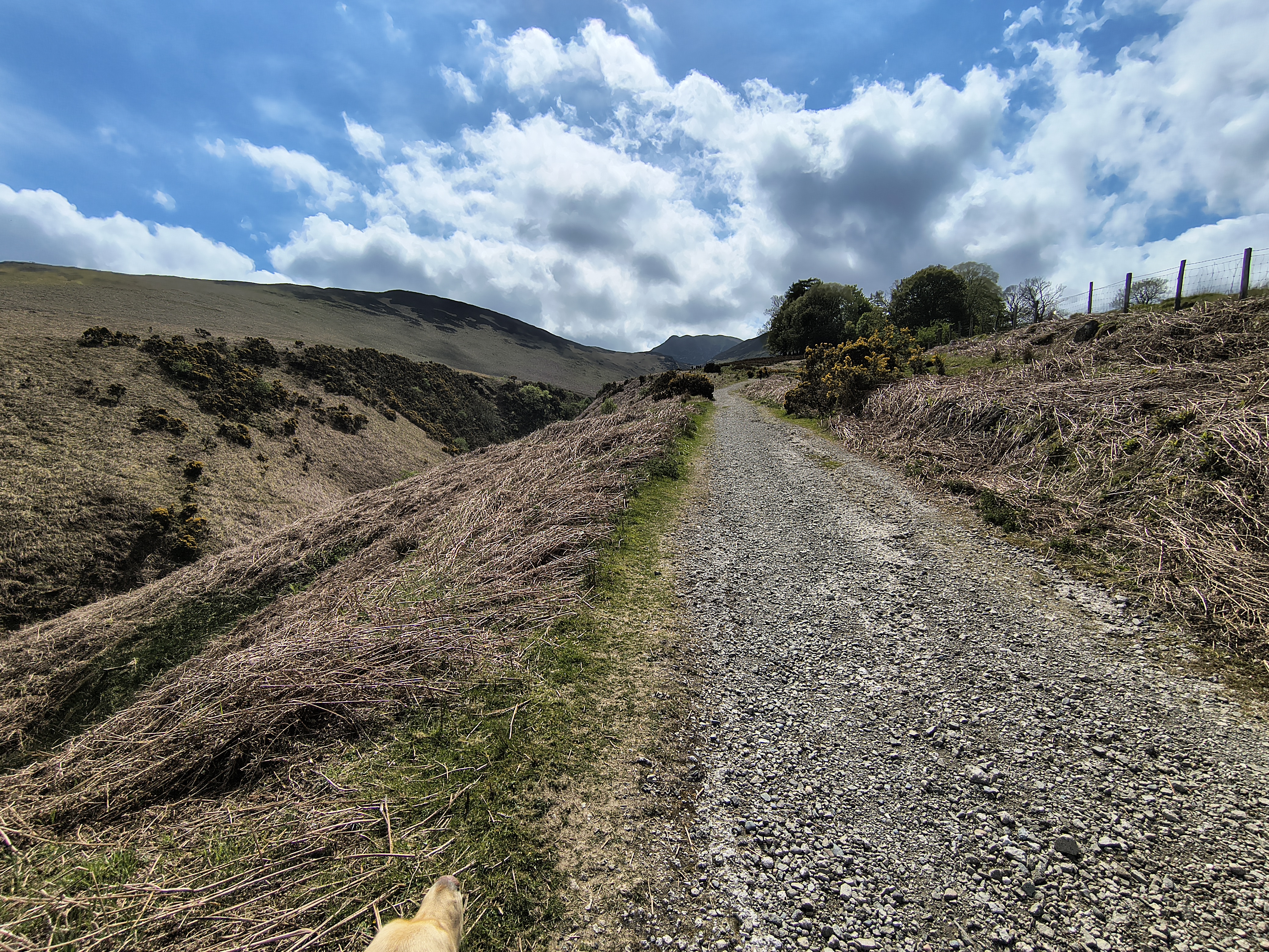 Stile End, Barrow - Image 3, May 02, 2026
