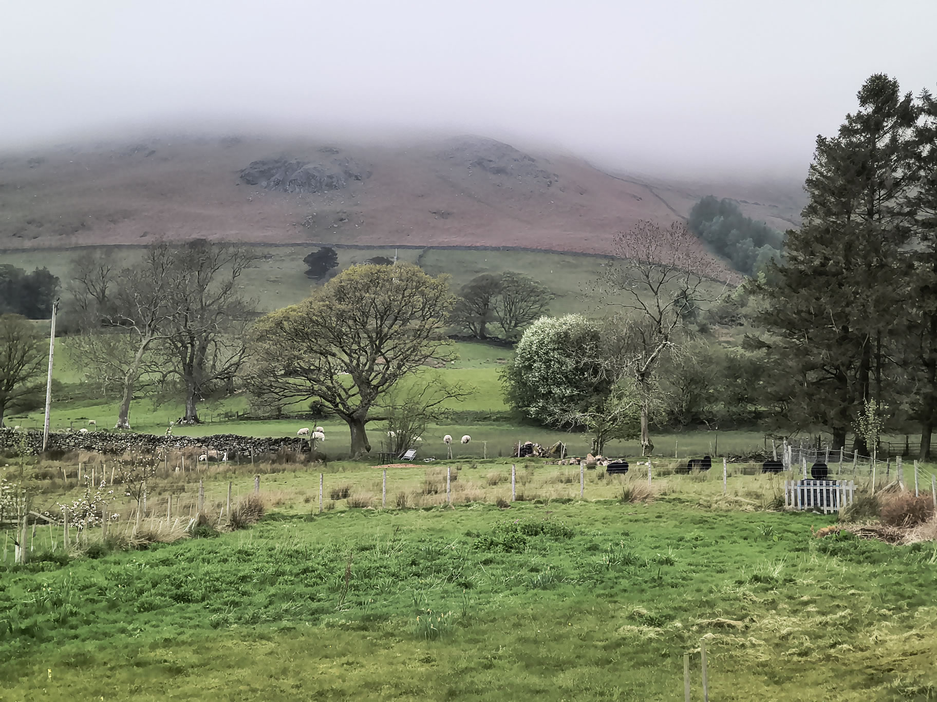 Stile End, Barrow - Image 2, May 02, 2026