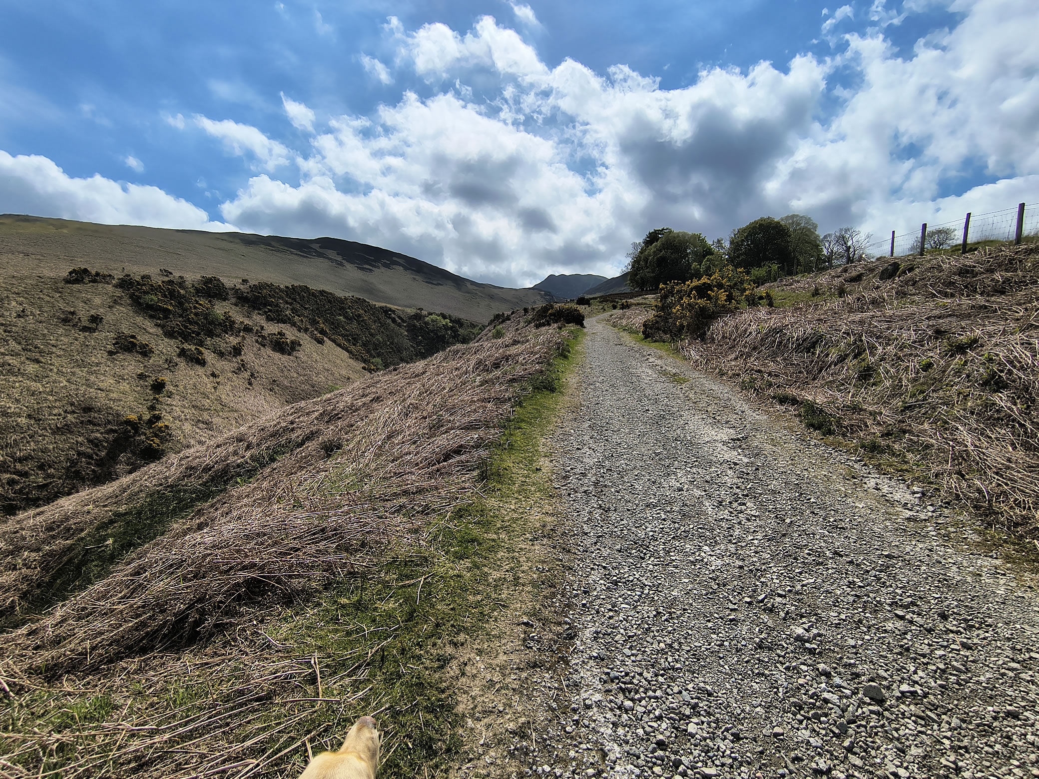 Stile End, Barrow - Image 3, May 02, 2026