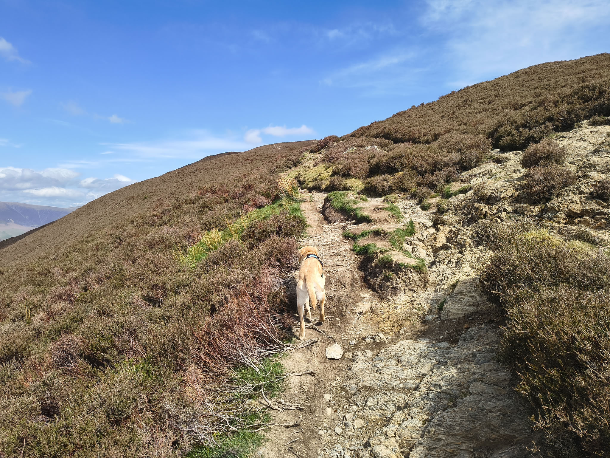 Stile End, Barrow - Image 10, May 02, 2026
