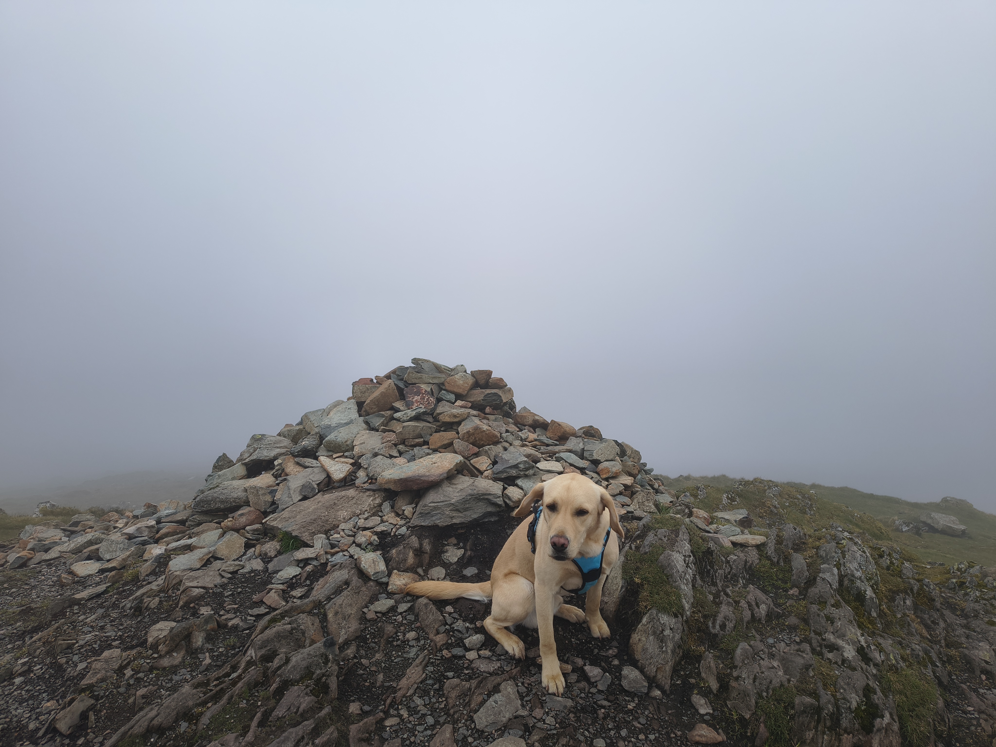 Fleetwith Pike [whiteout] - Image 8, May 03, 2026