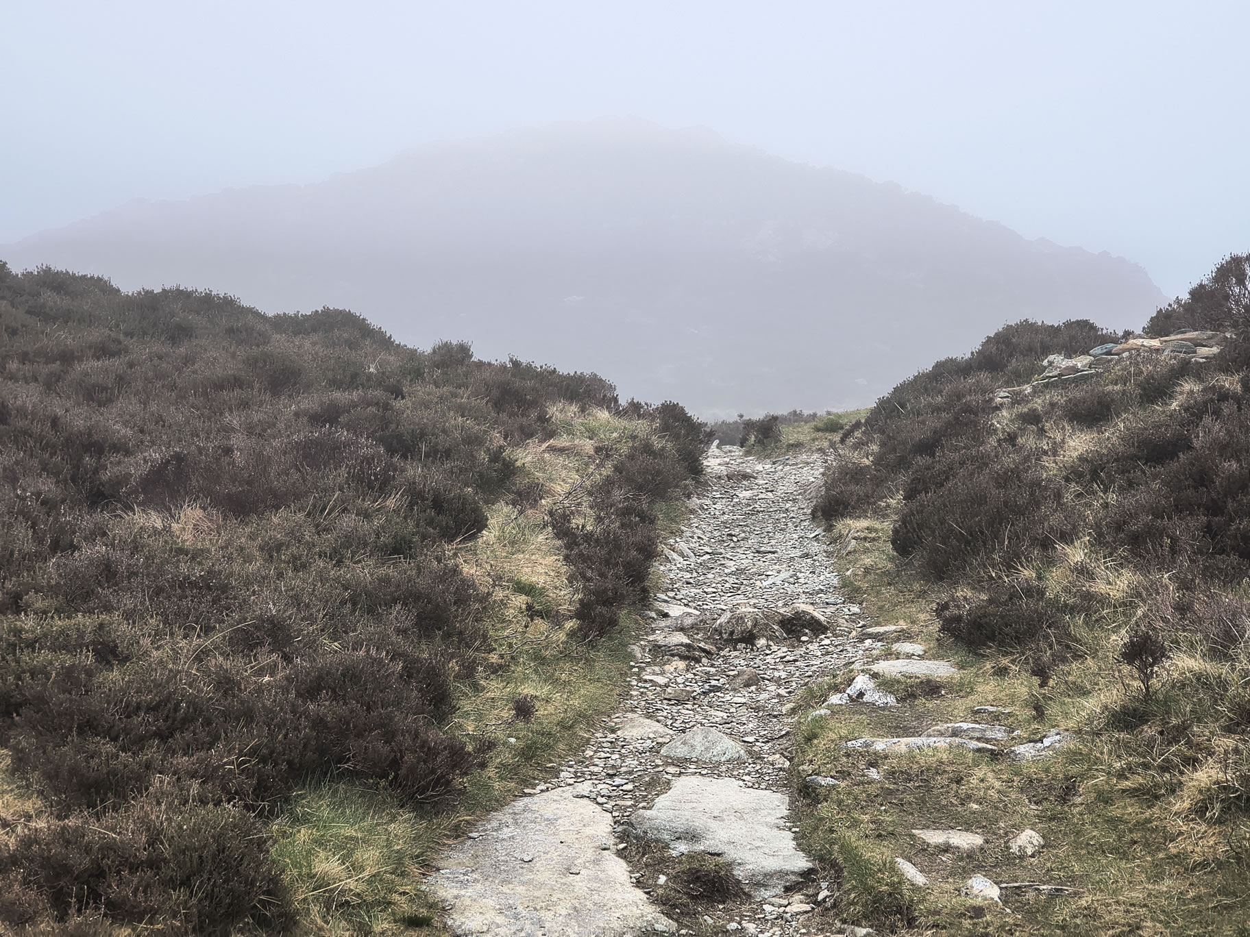 Fleetwith Pike [whiteout] - Image 6, May 03, 2026