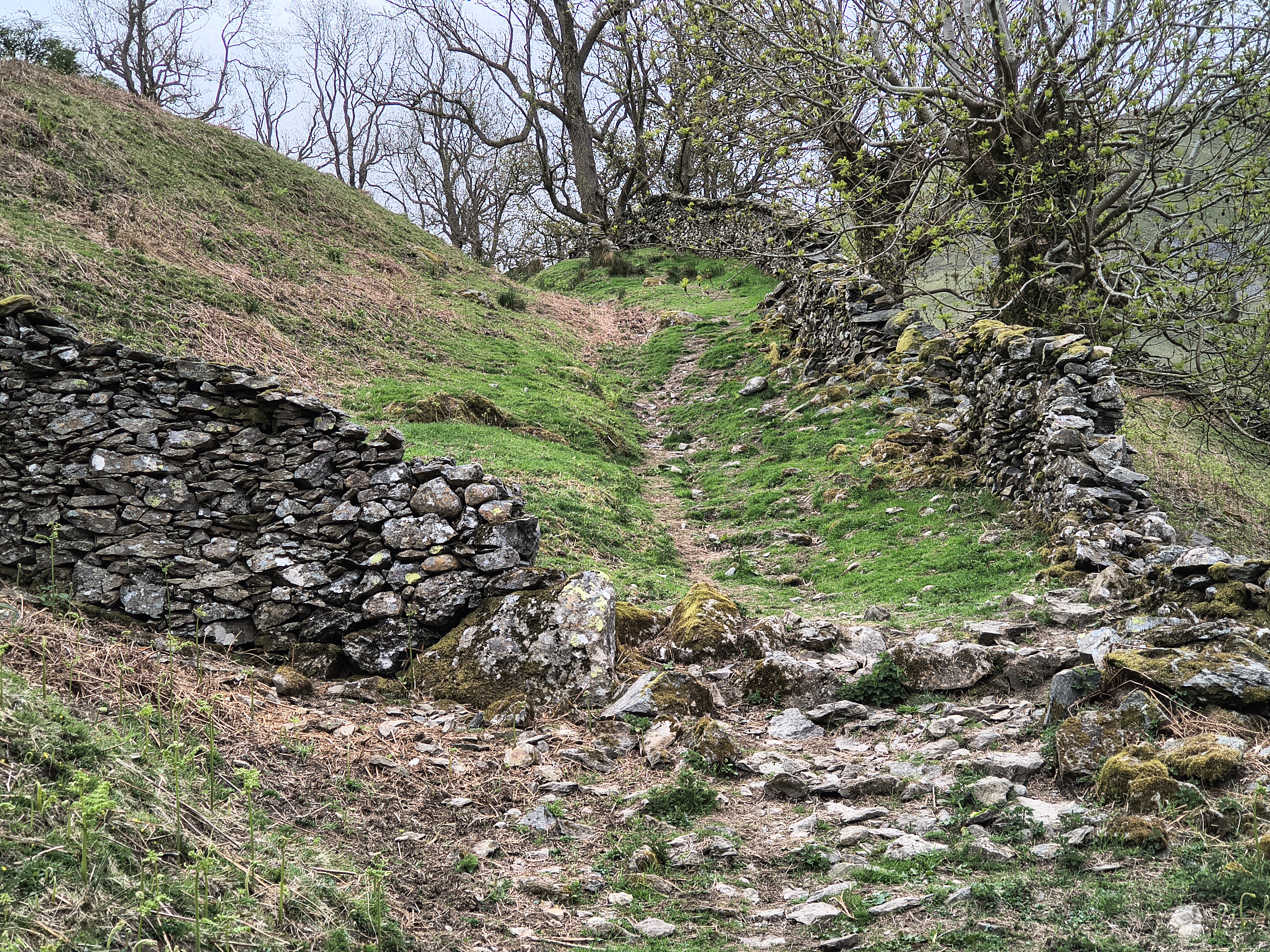 A Hartsop Round - Image 3, May 05, 2026