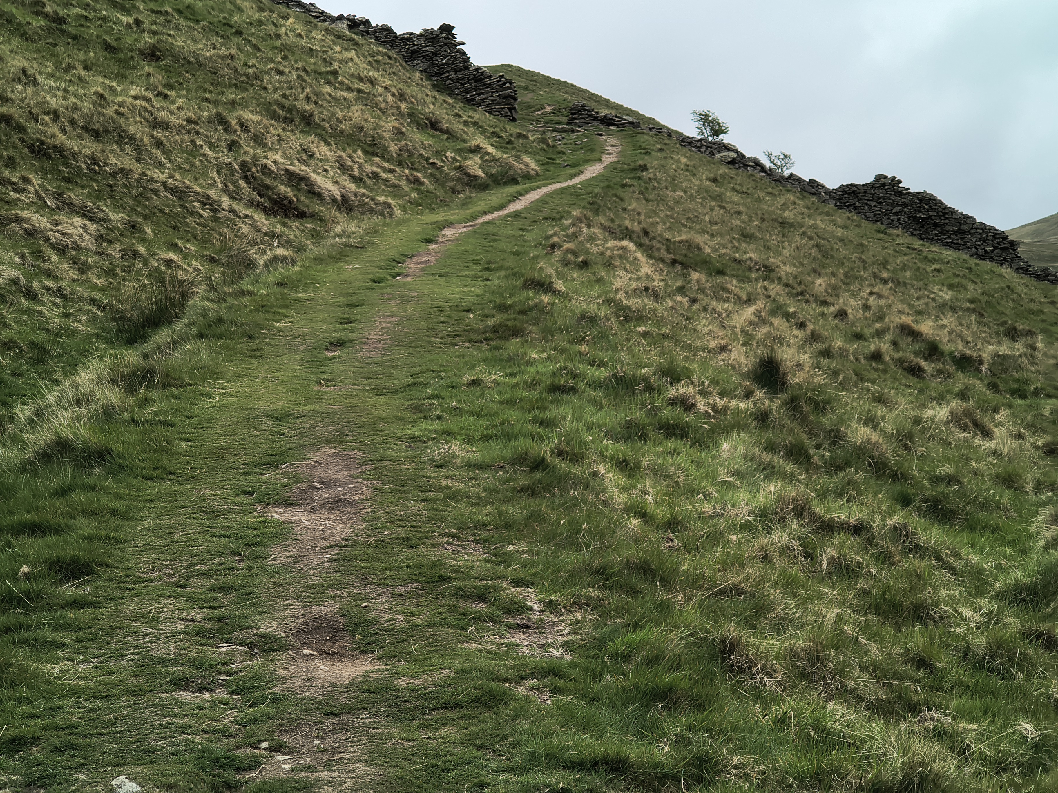 A Hartsop Round - Image 6, May 05, 2026
