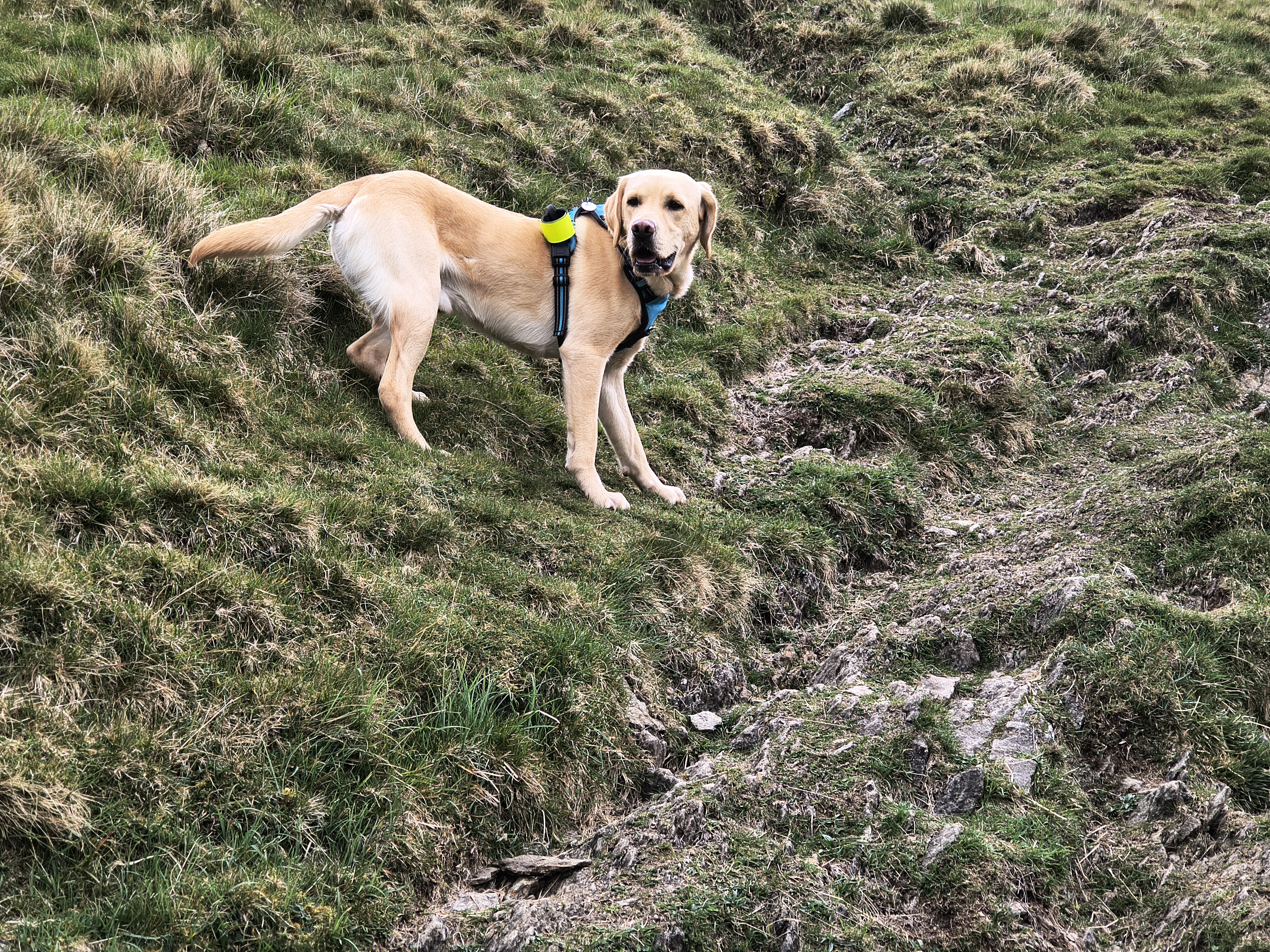 A Hartsop Round - Image 8, May 05, 2026