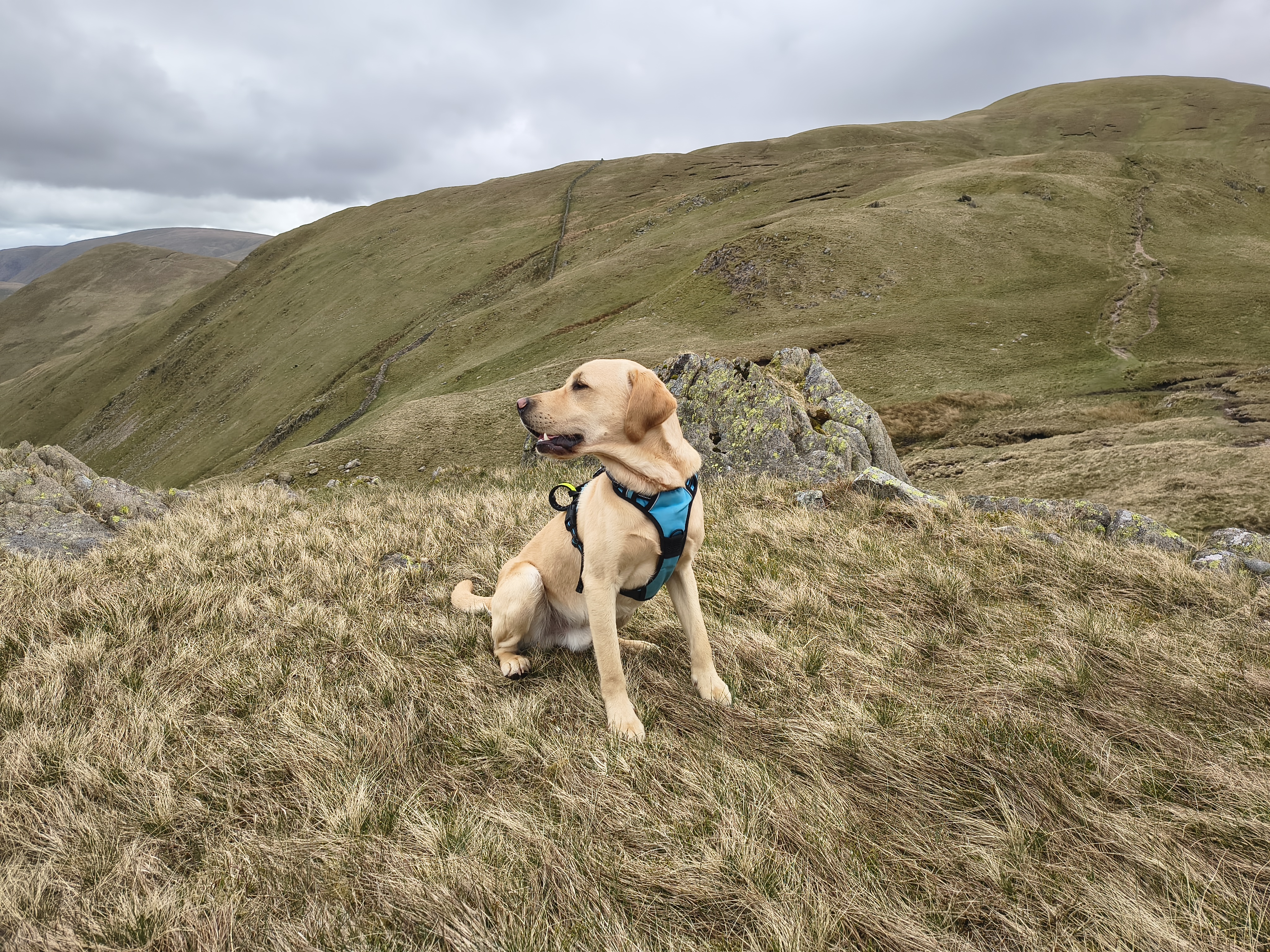 A Hartsop Round - Image 11, May 05, 2026