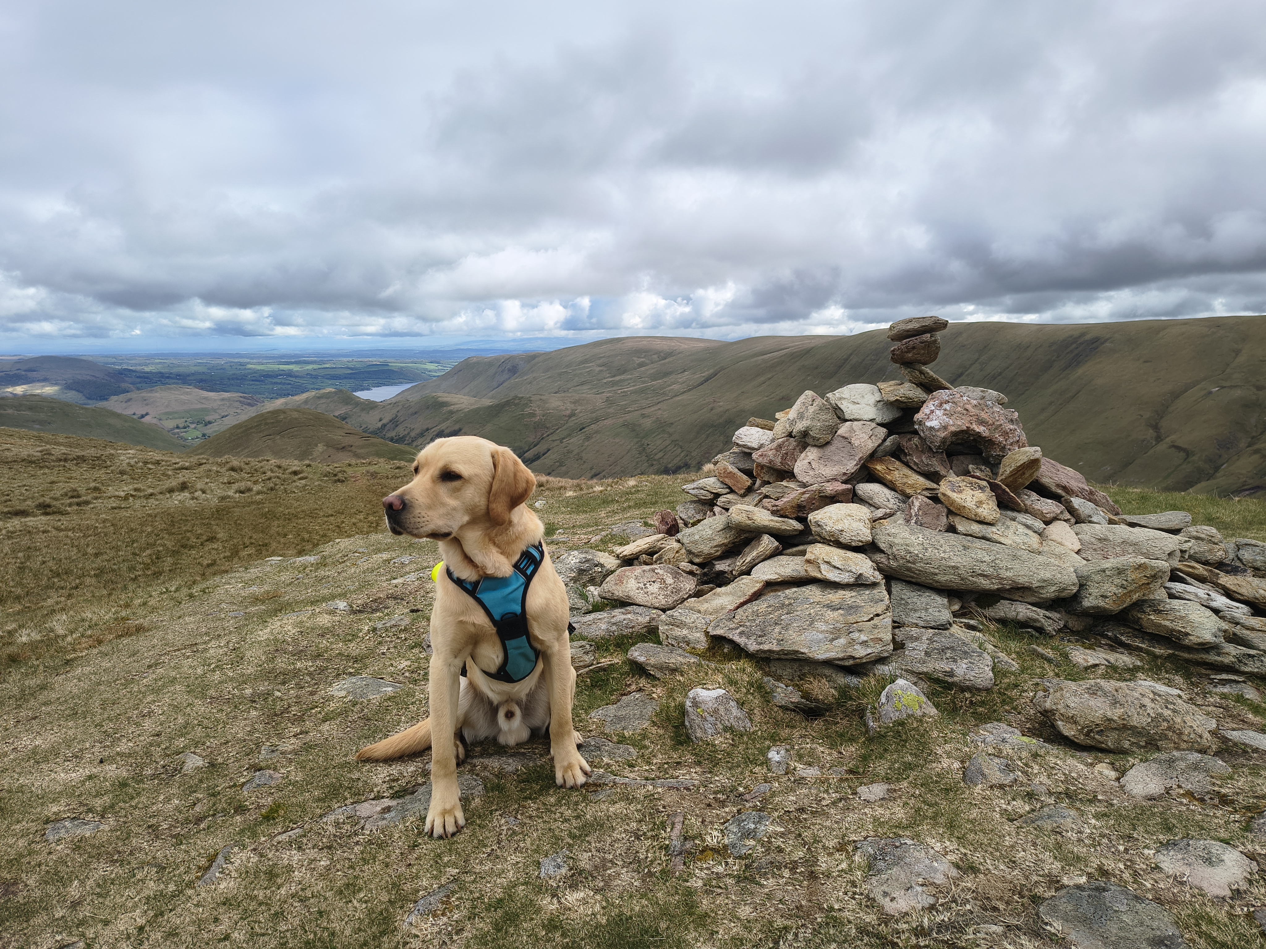 A Hartsop Round - Image 12, May 05, 2026