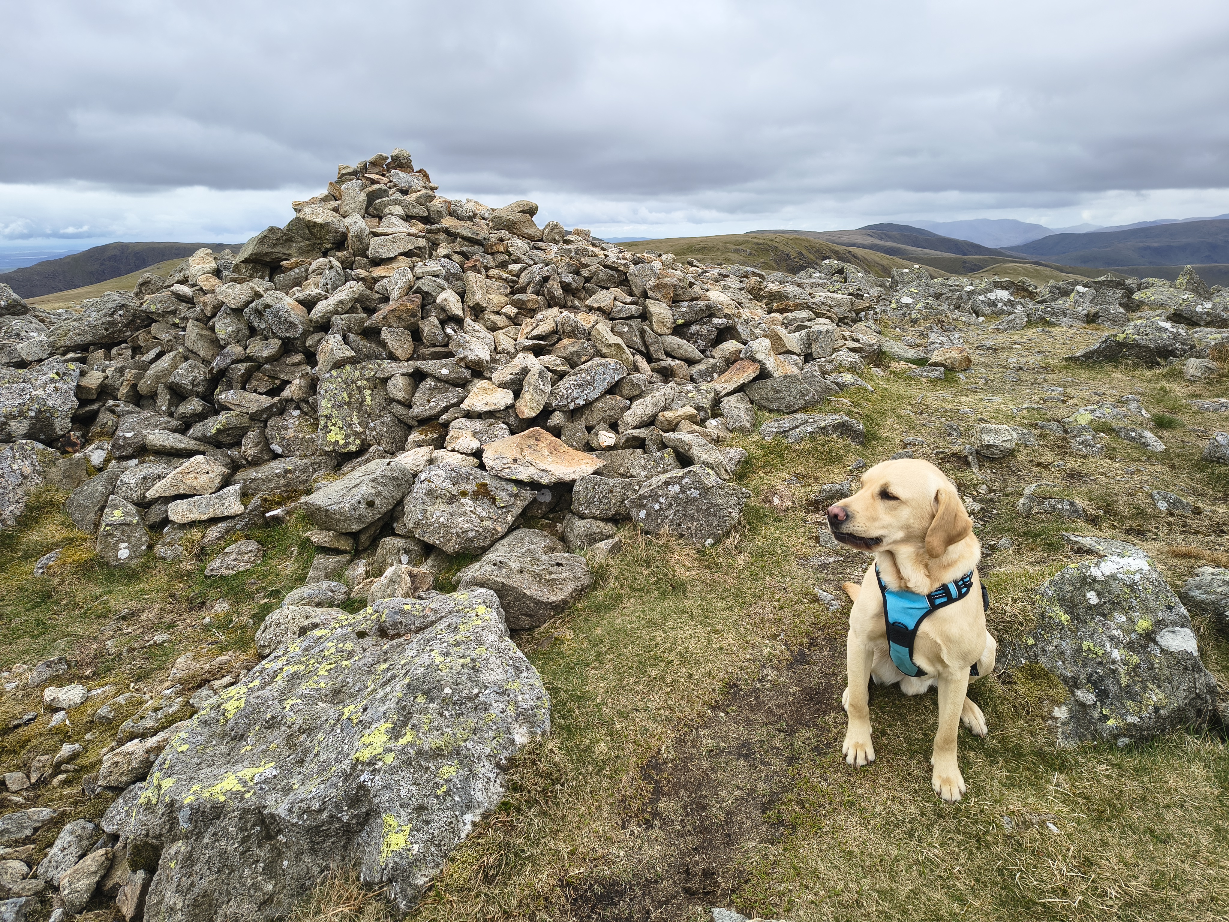 A Hartsop Round - Image 16, May 05, 2026