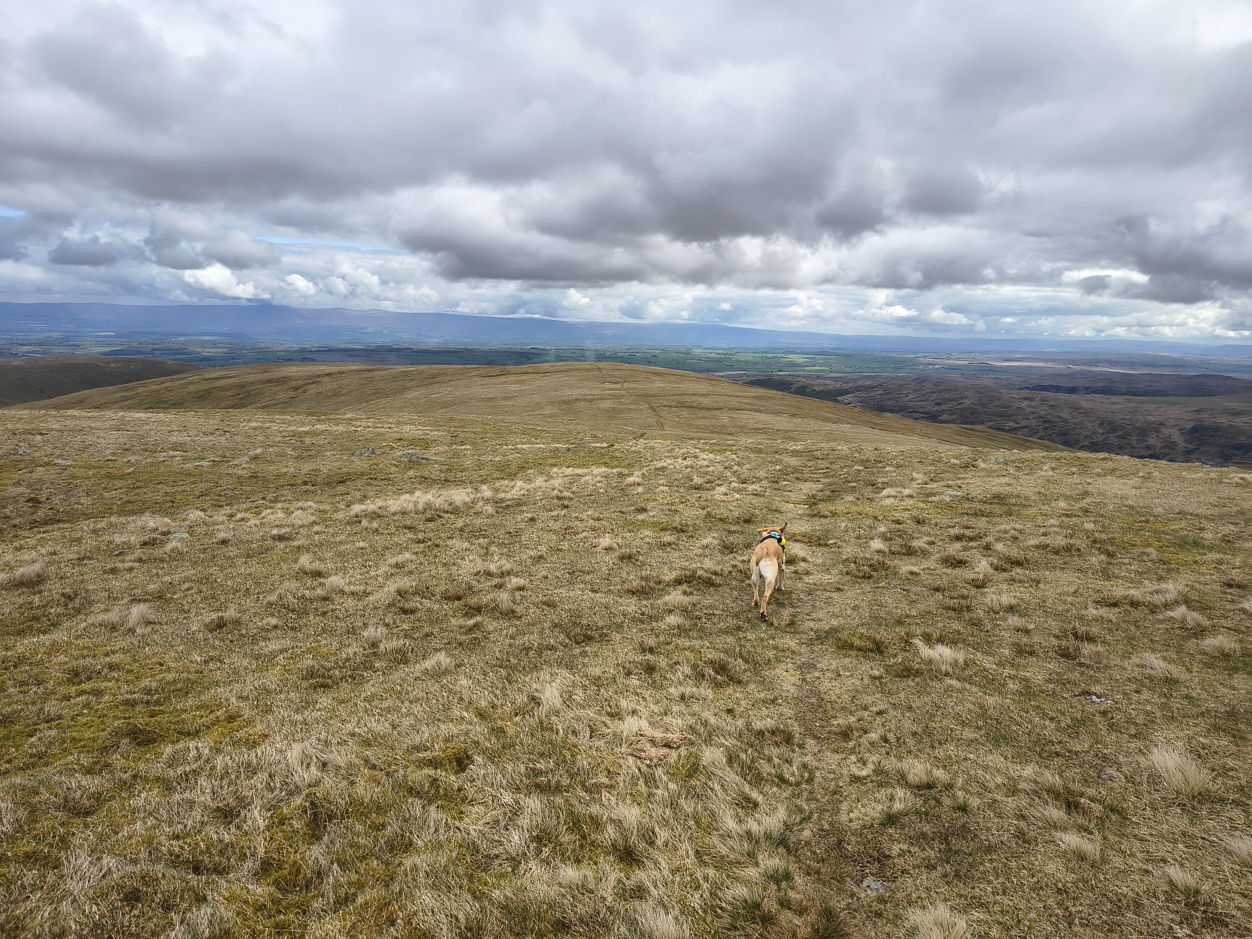A Hartsop Round - Image 17, May 05, 2026