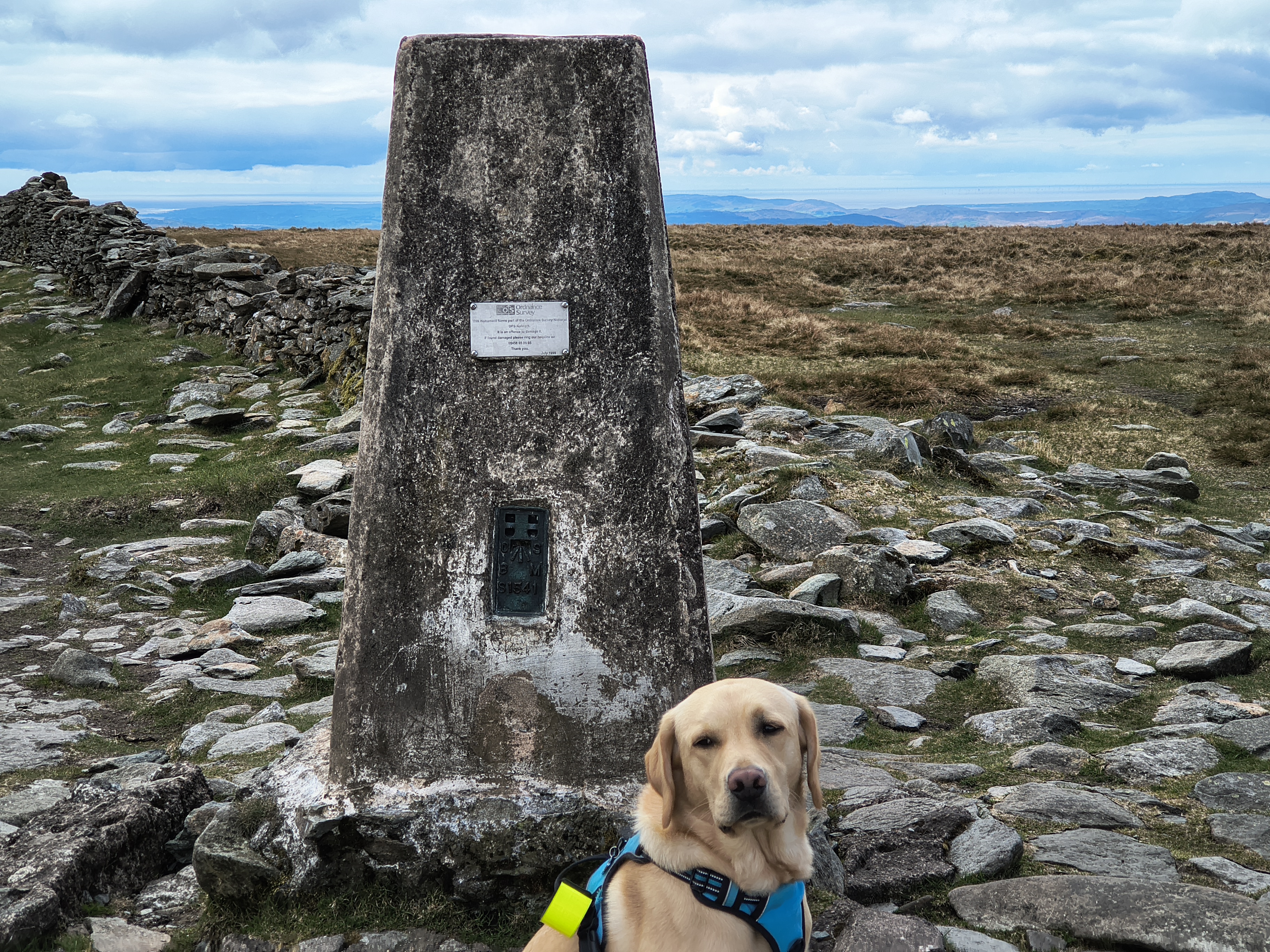 A Hartsop Round - Image 24, May 05, 2026