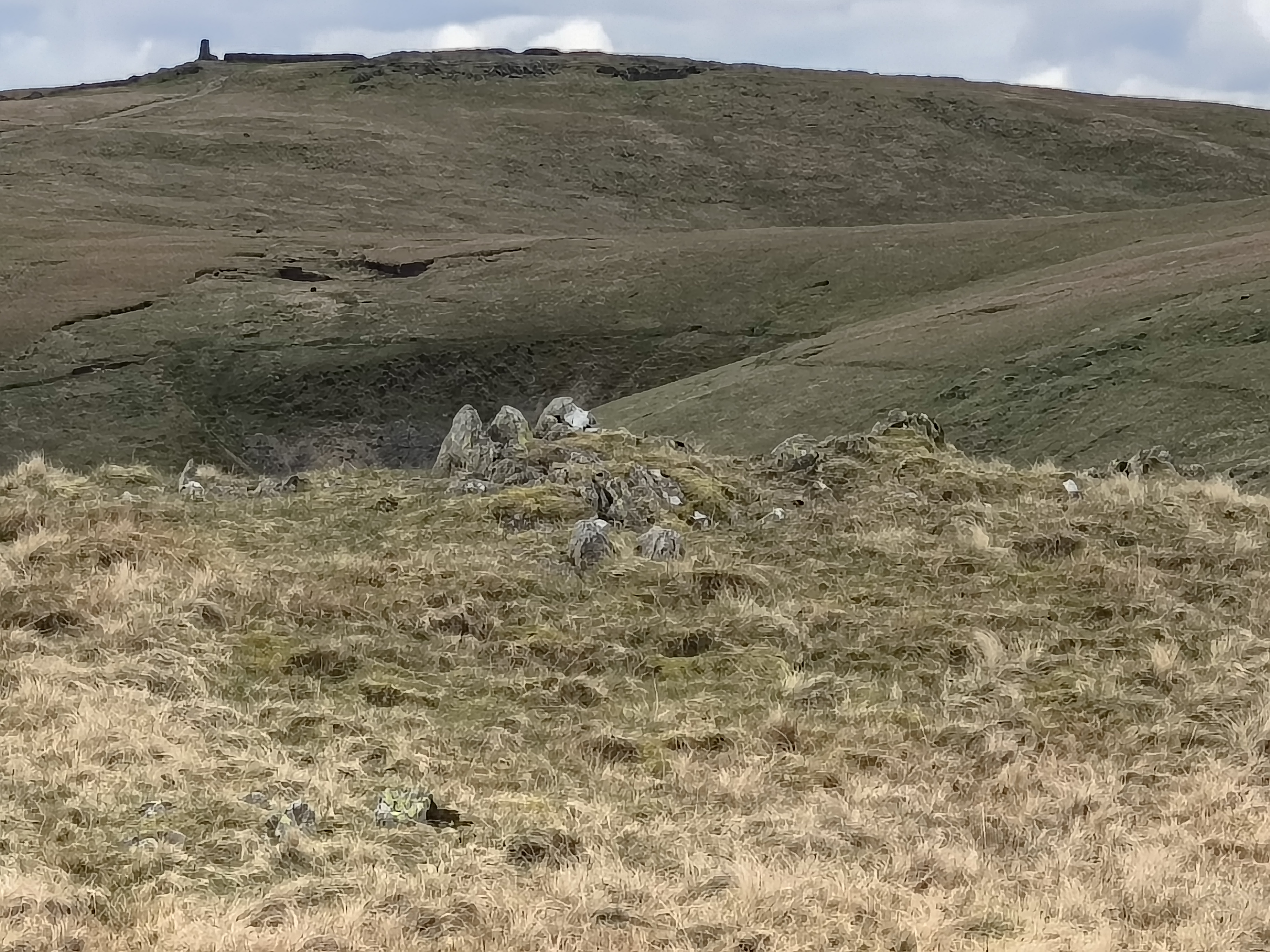 A Hartsop Round - Image 29, May 05, 2026